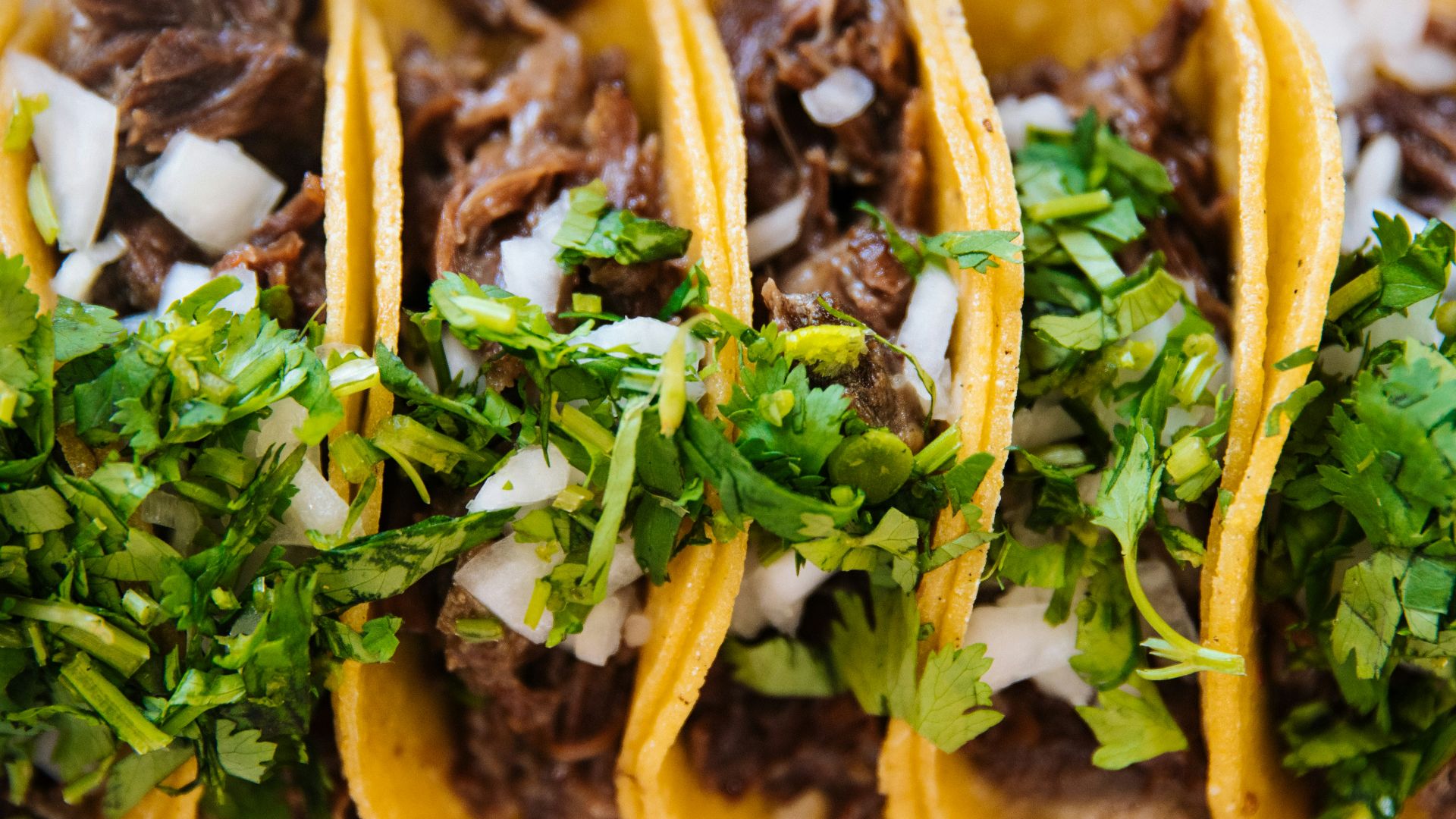 green vegetable on brown soil