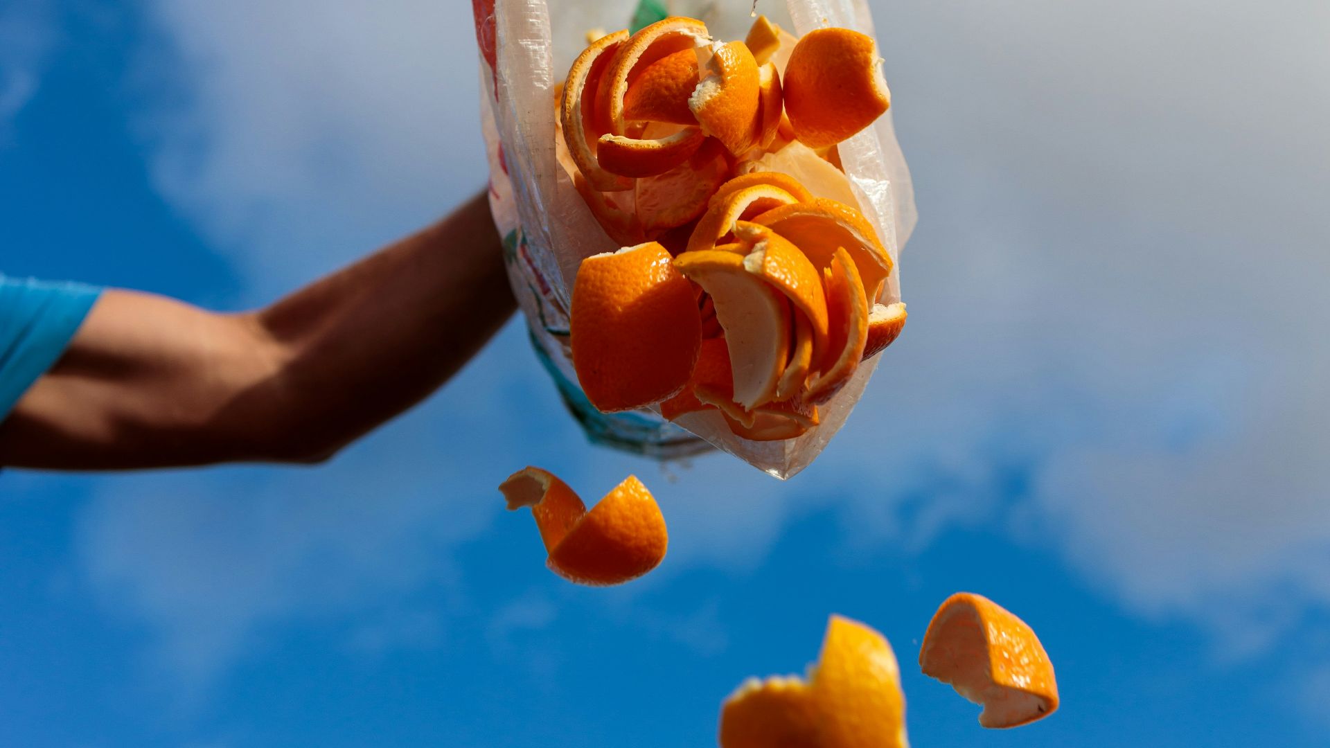 a person holding a bag full of orange peels