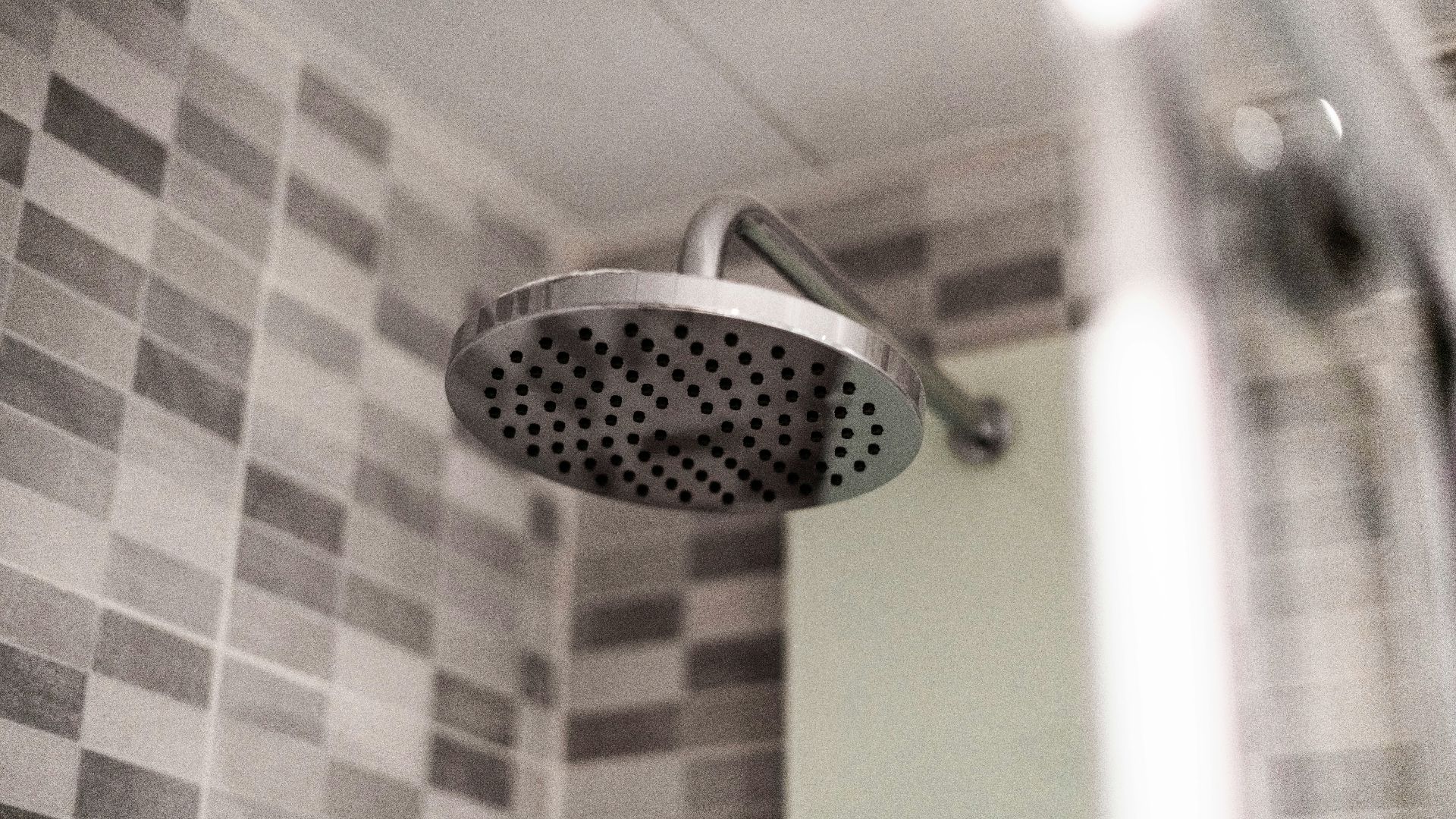 grey stainless steel shower head