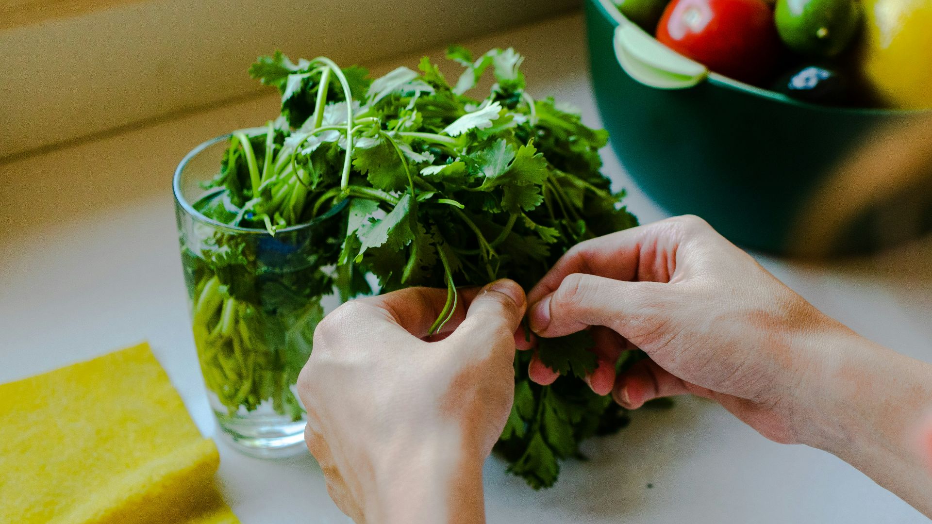 a person holding a glass of water