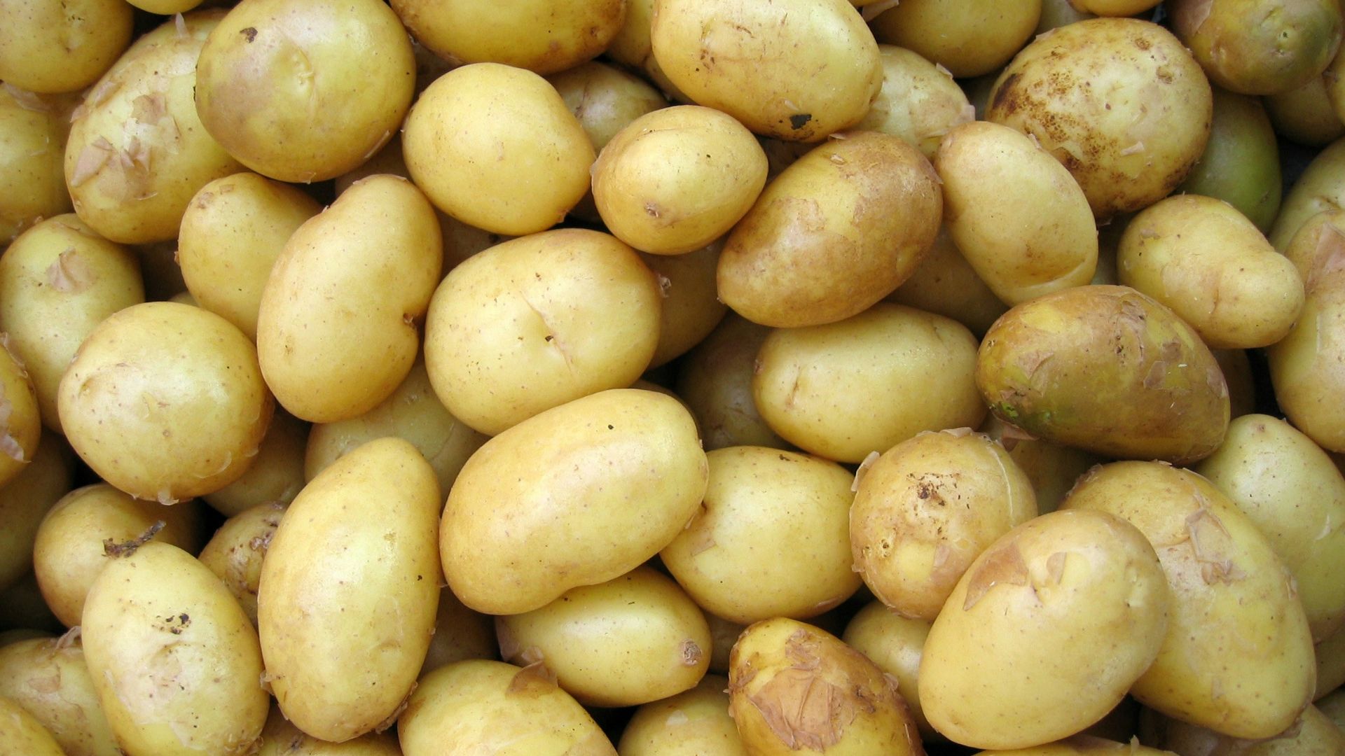 potatoes