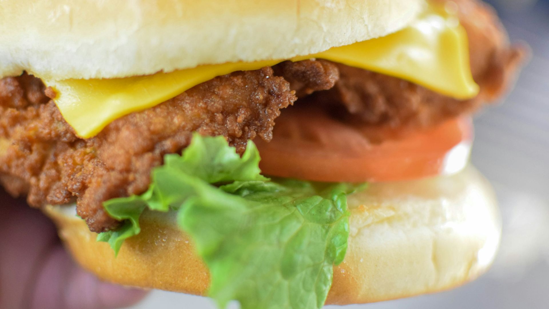 burger with lettuce and tomato