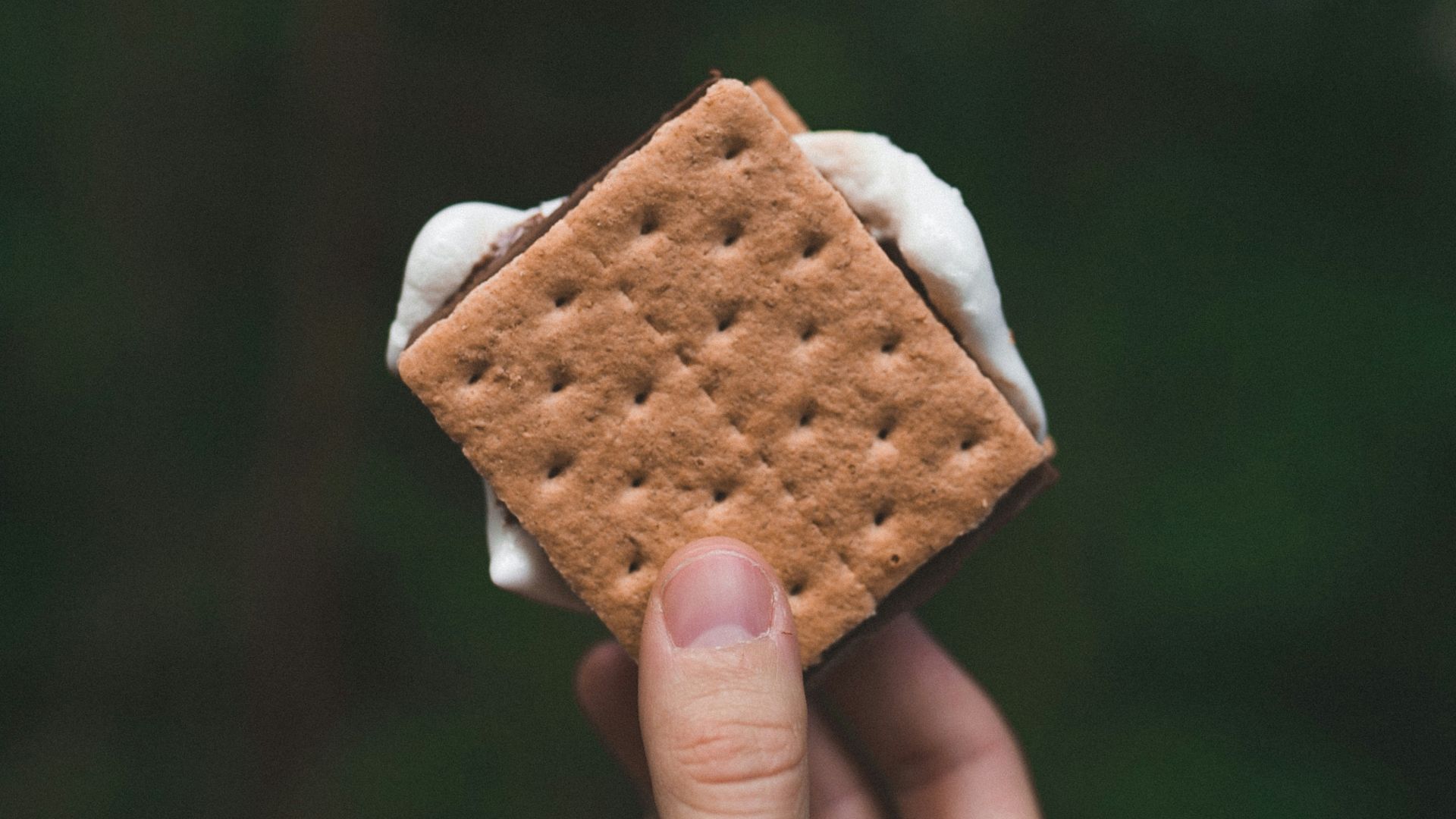 biscuit with cream