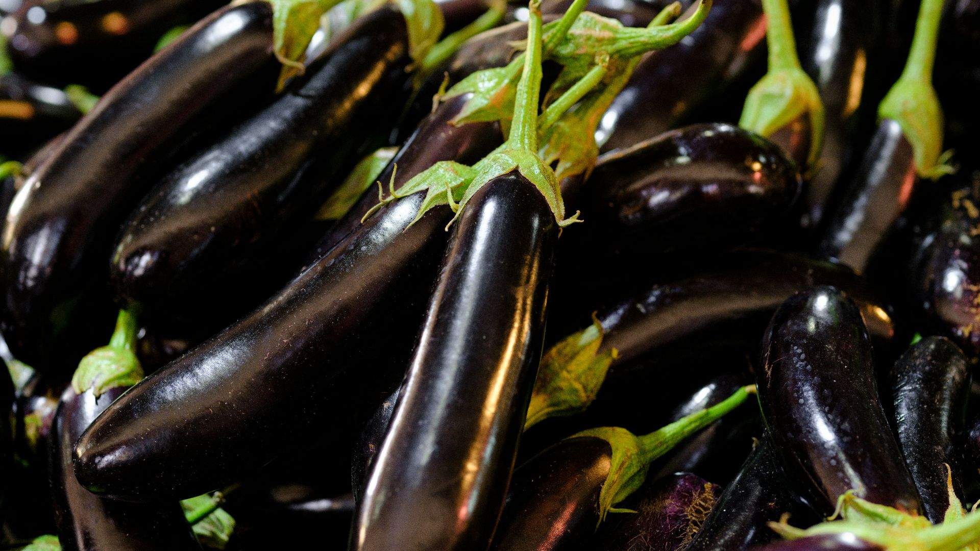 a pile of purple eggplant with green stems