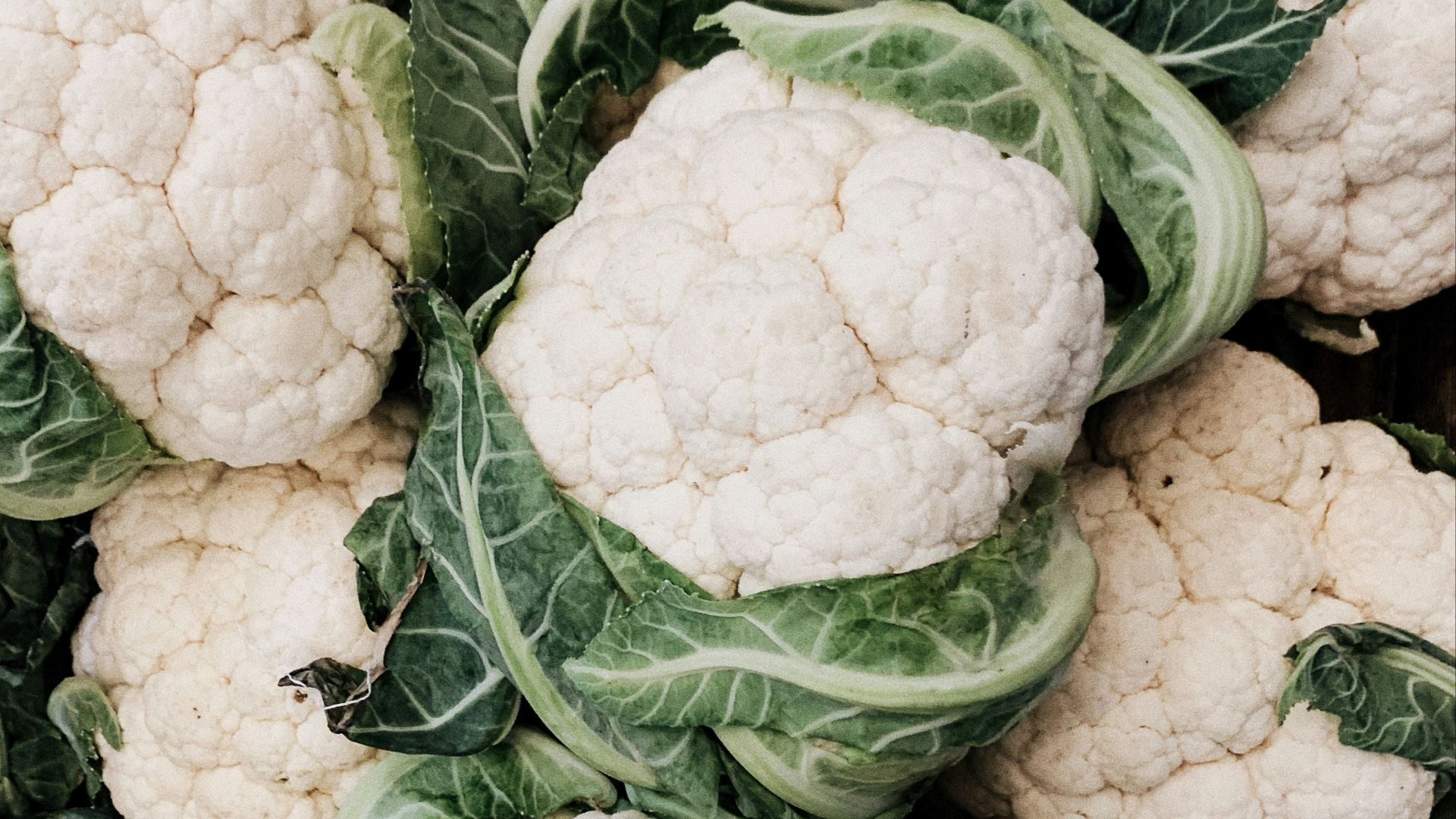 cauliflower lot