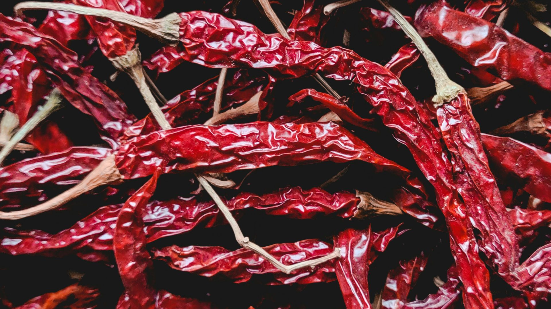 red and white dried leaves
