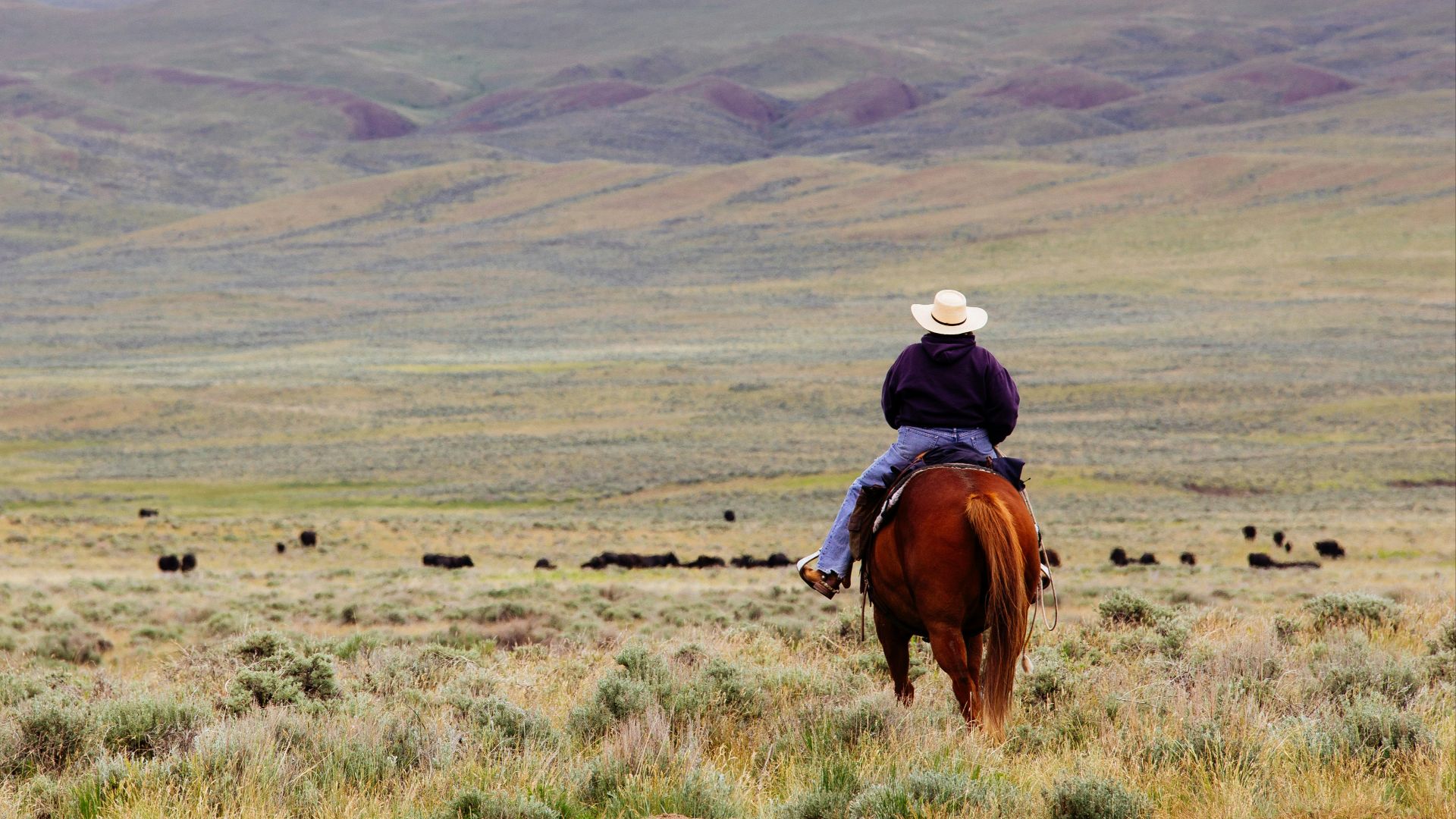 woman riding horse