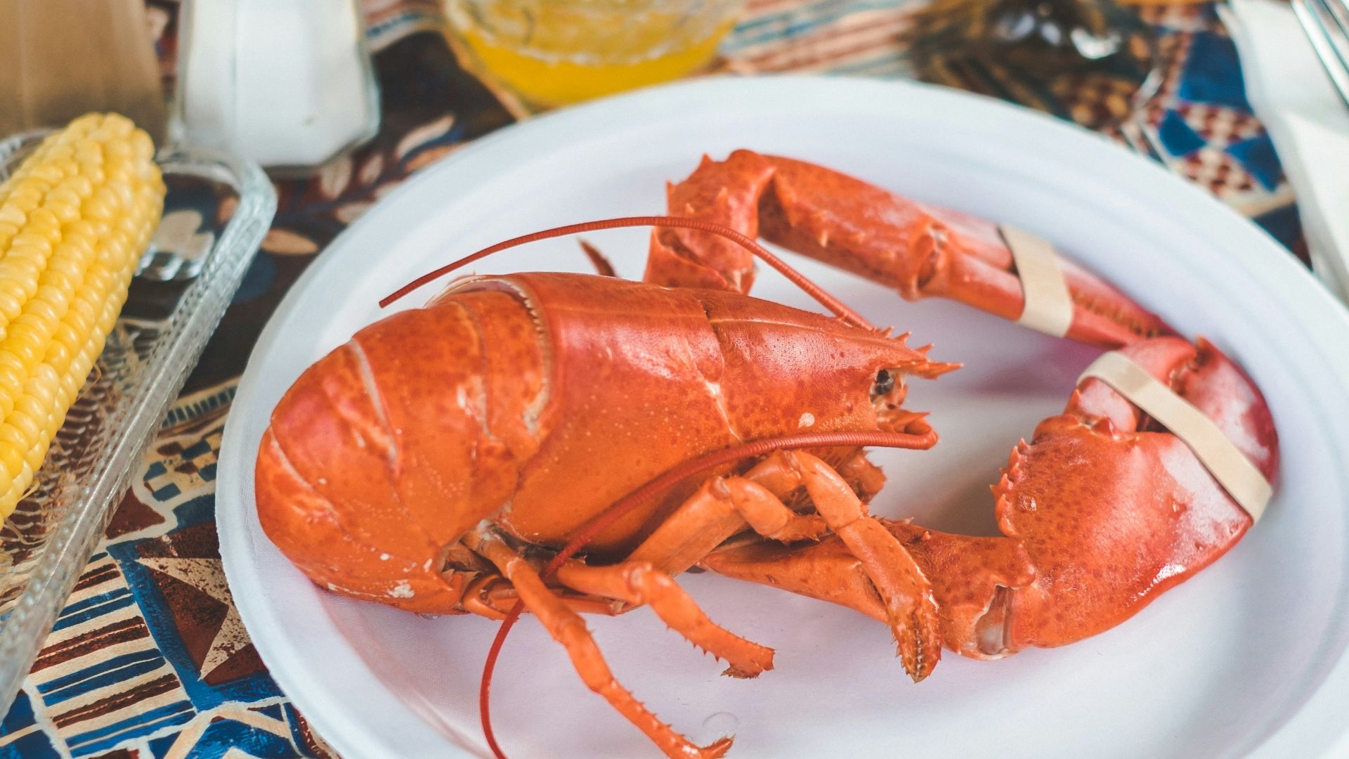 lobster in plate