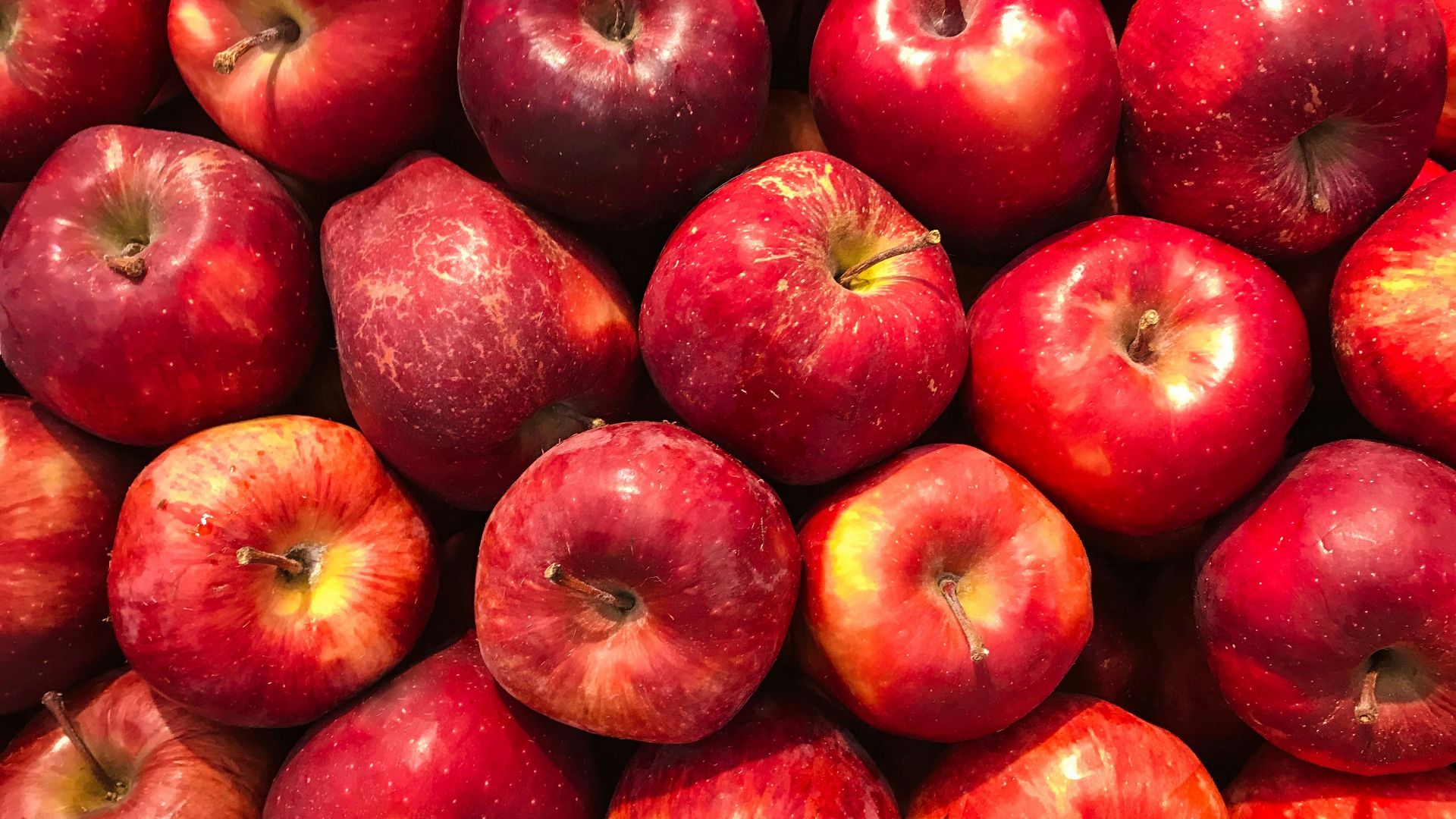 bunch of red apples