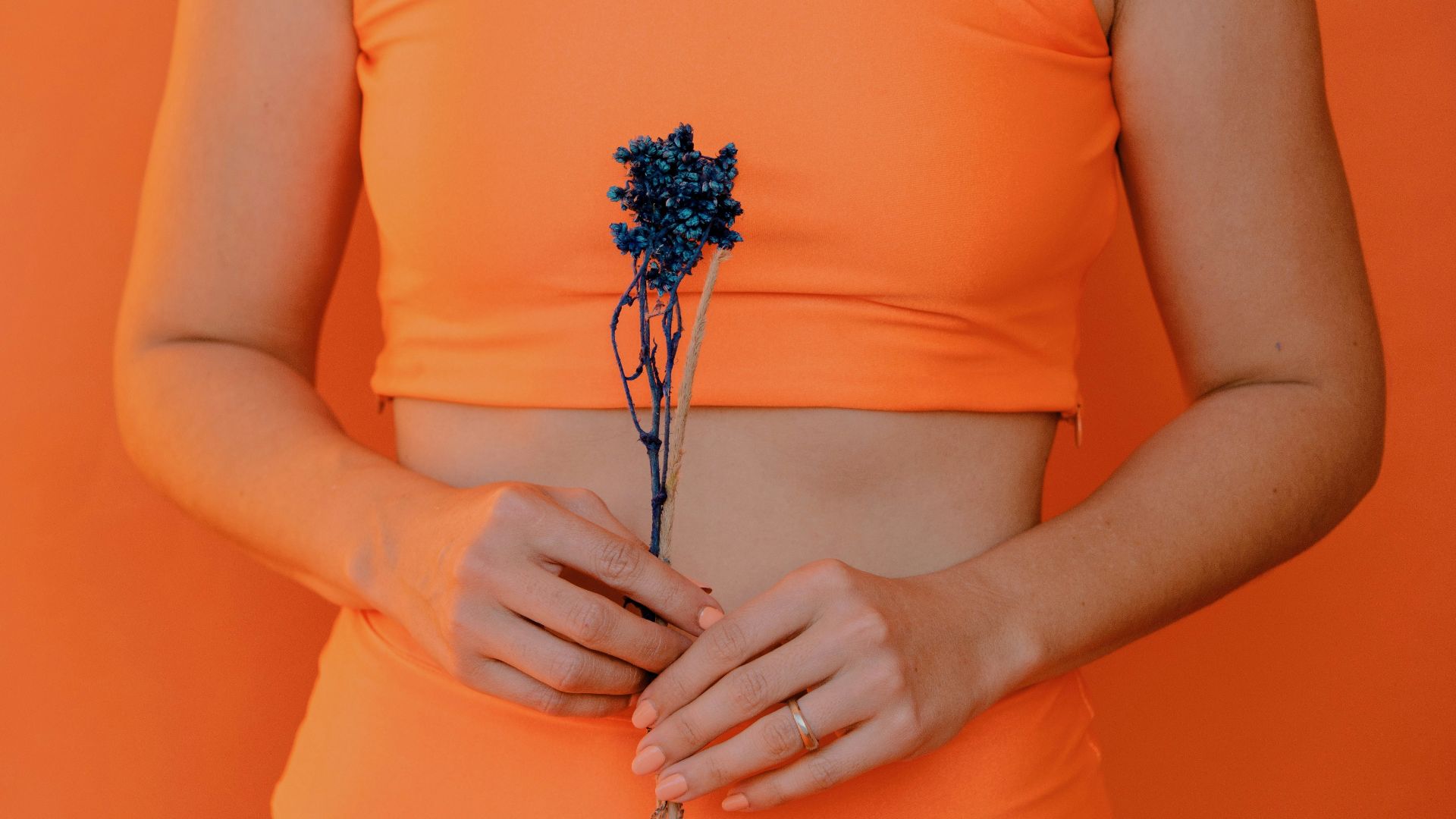 woman holding blue petaled flower