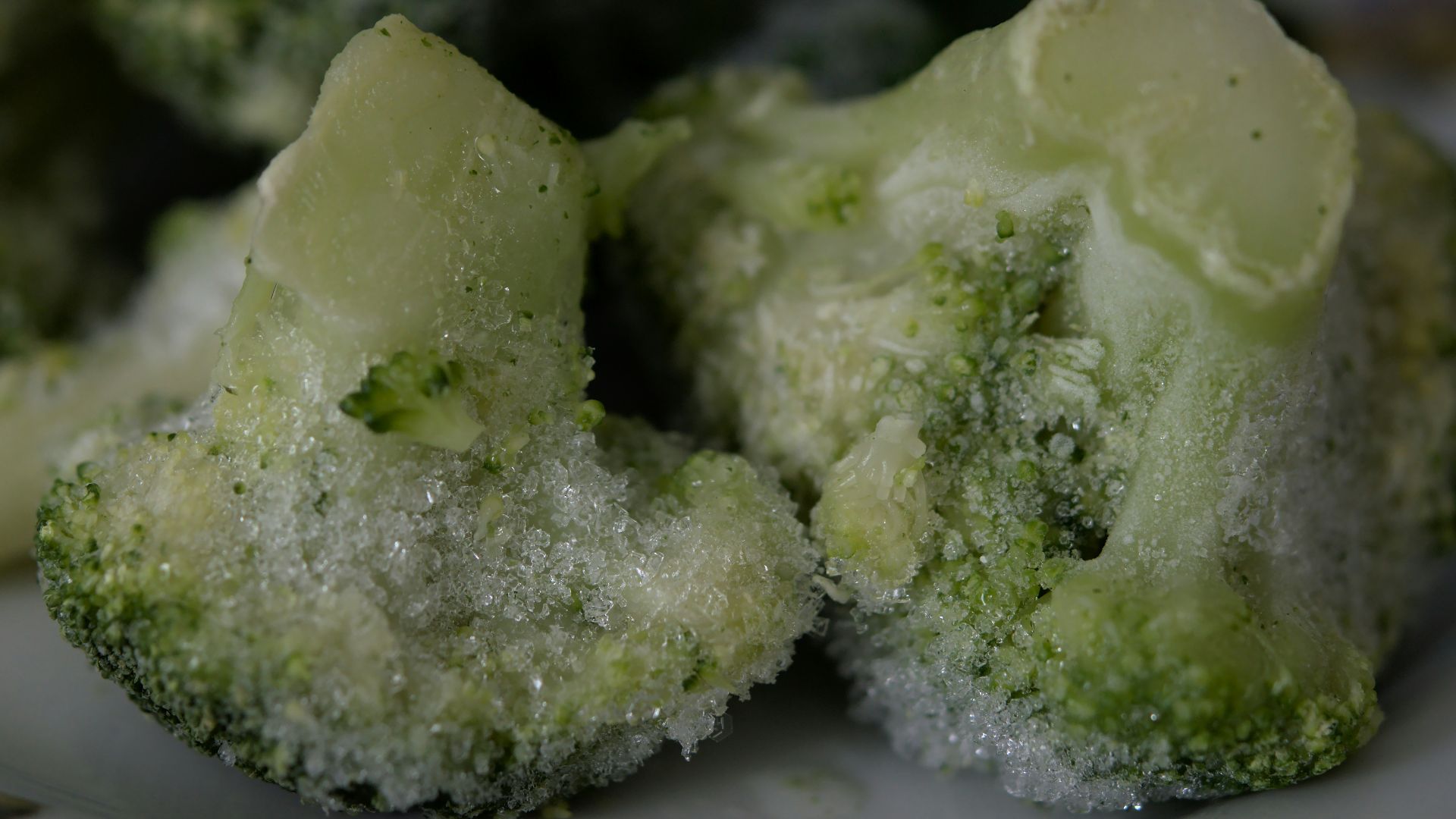 green and white food on white ceramic plate
