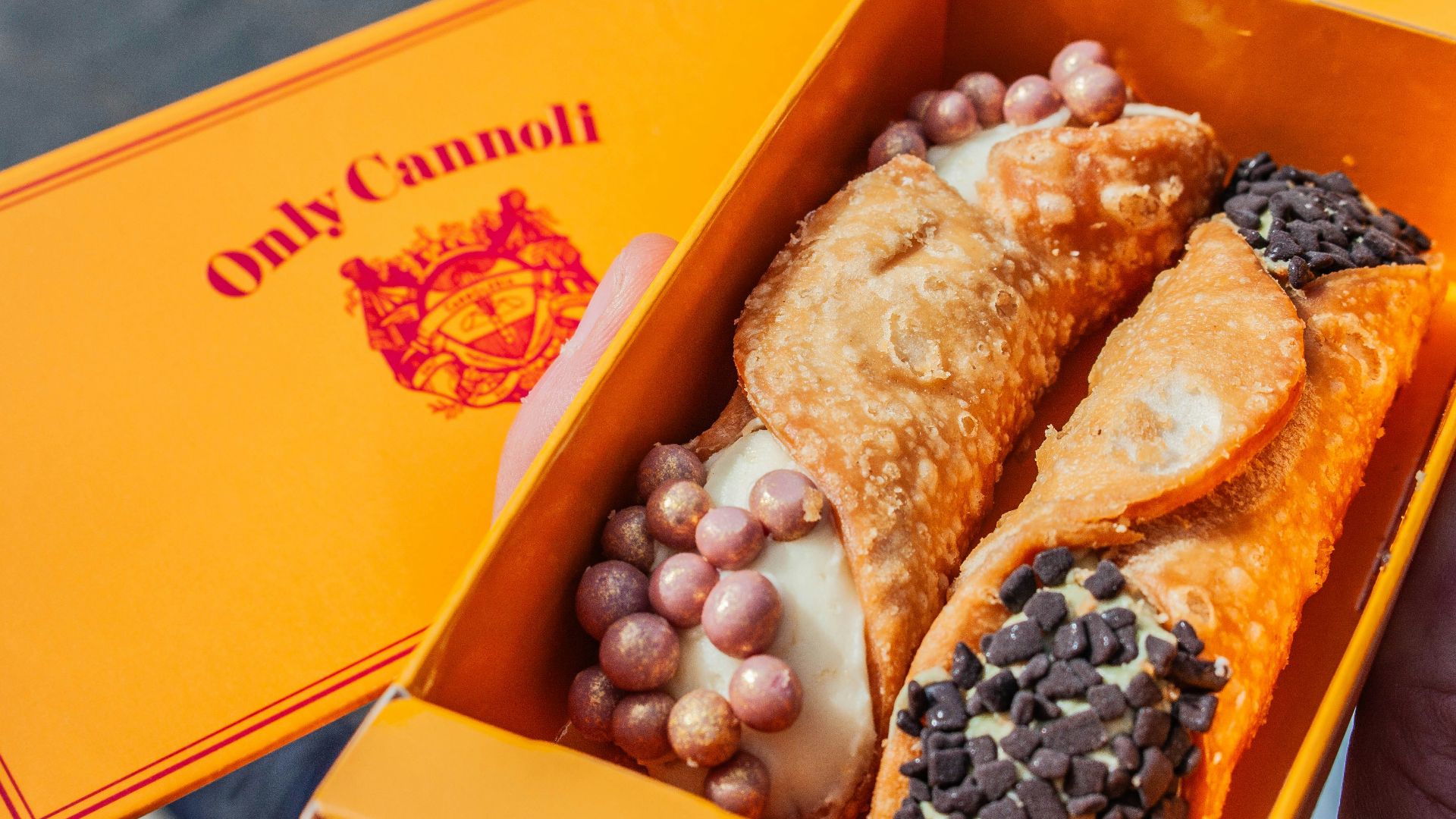 Two delicious cannoli sit inside a decorative box.
