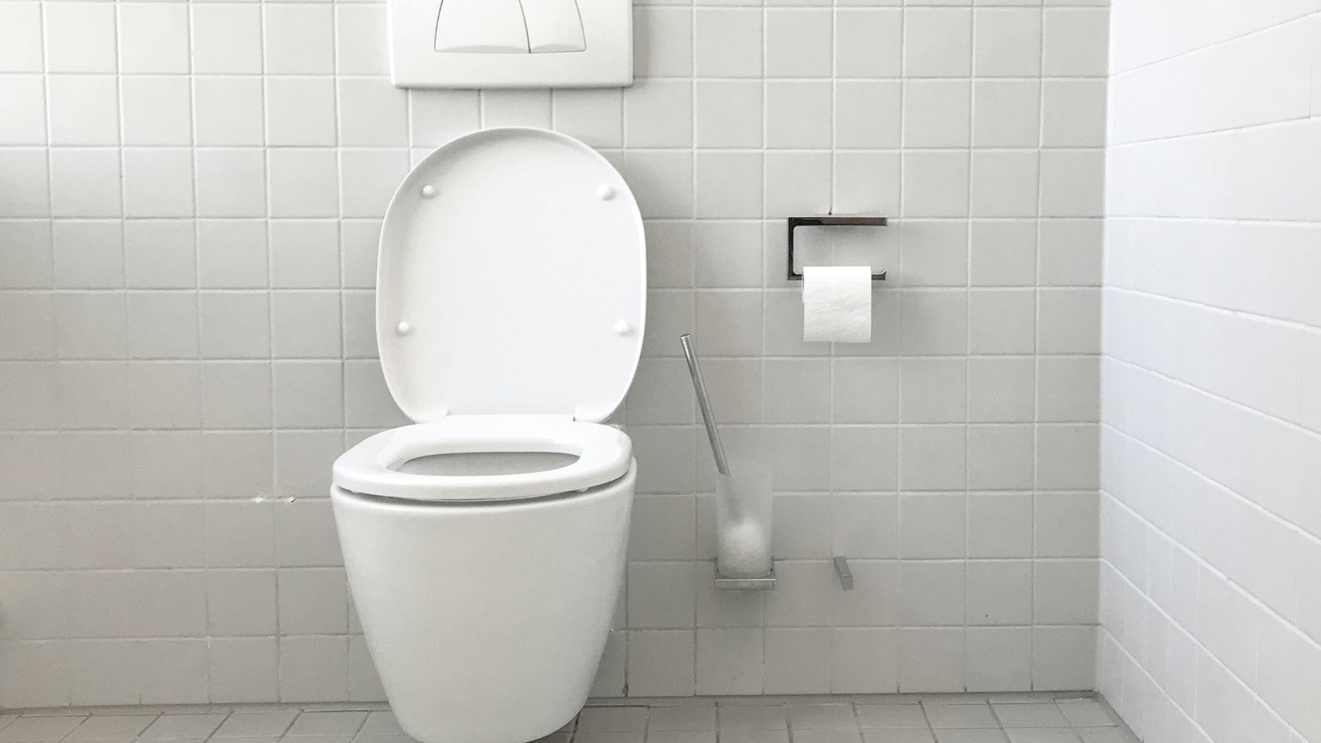 white toilet bowl with cistern