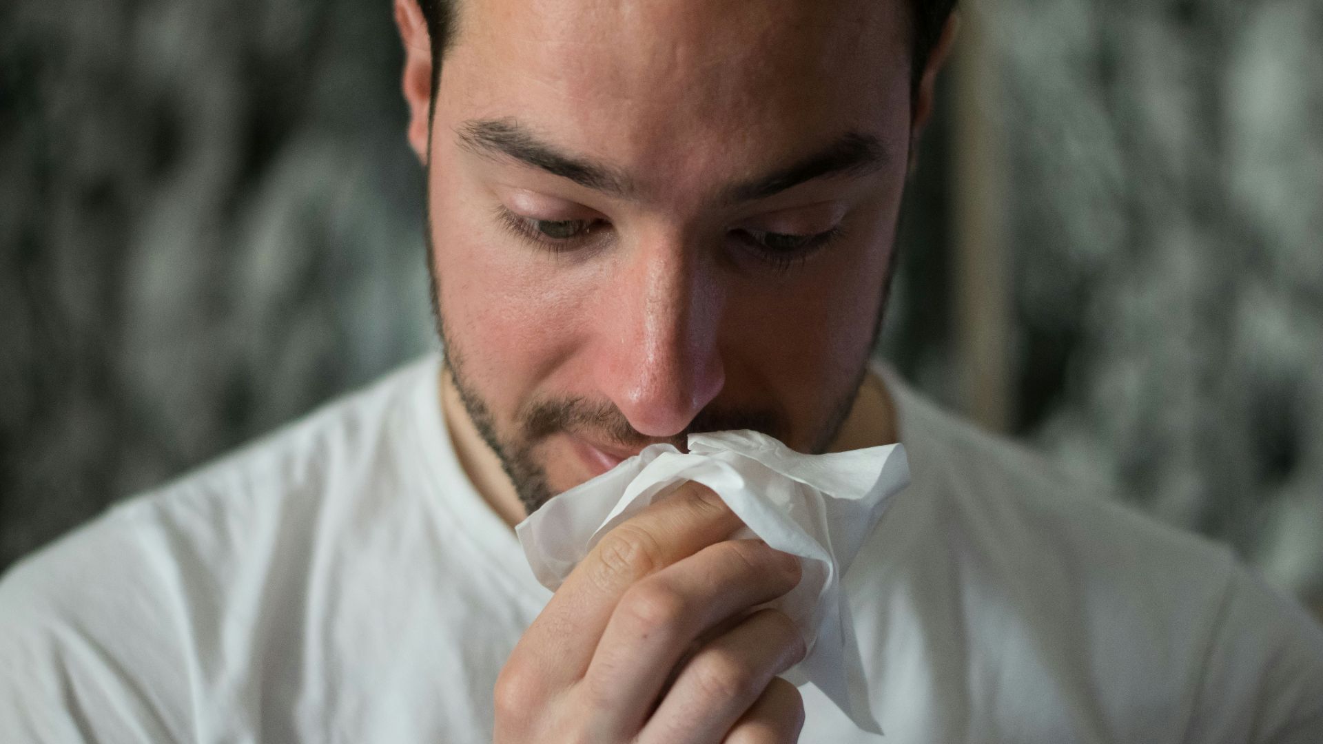 man wiping mouse with tissue paper
