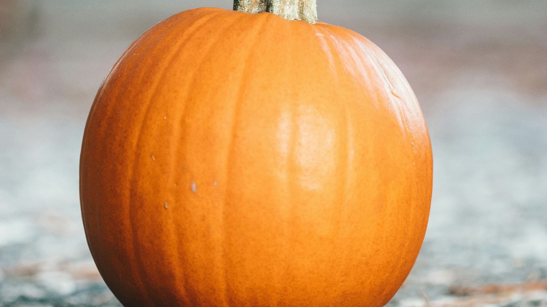 orange pumpkin on gray concrete floor