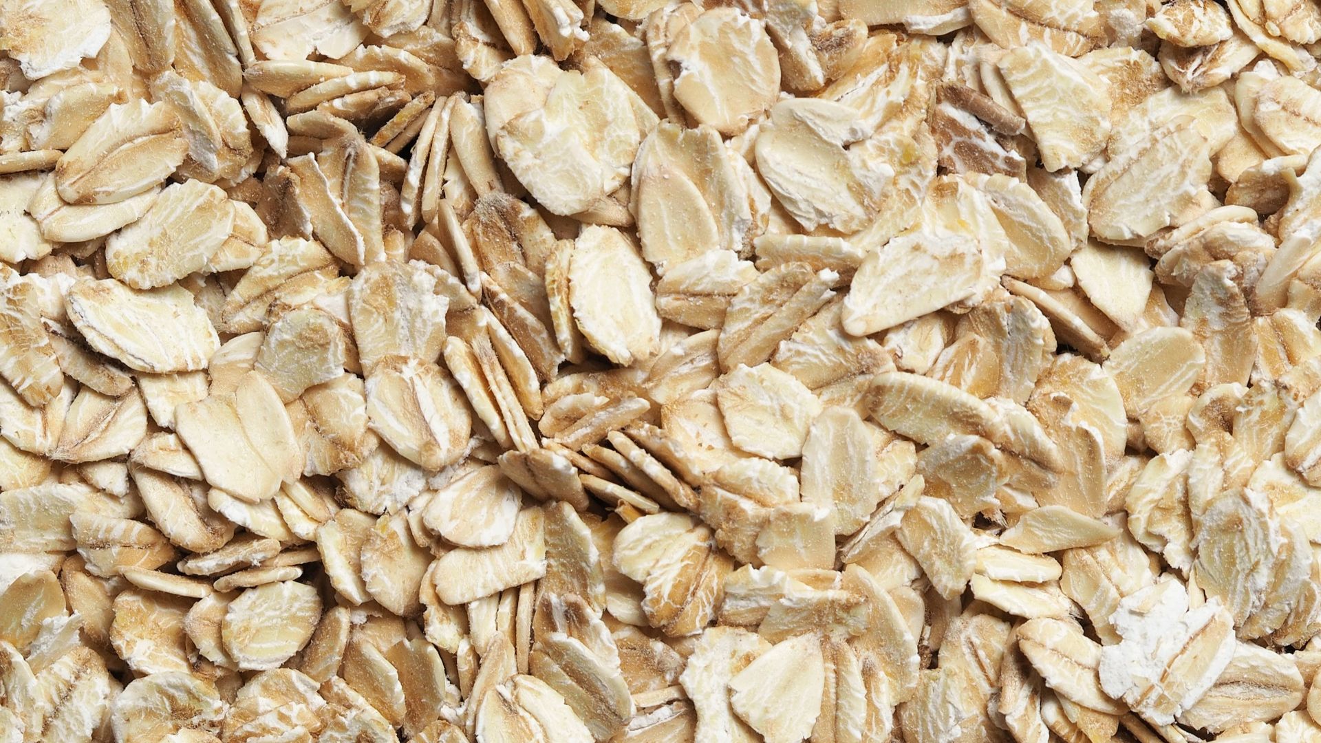 brown dried leaves on ground