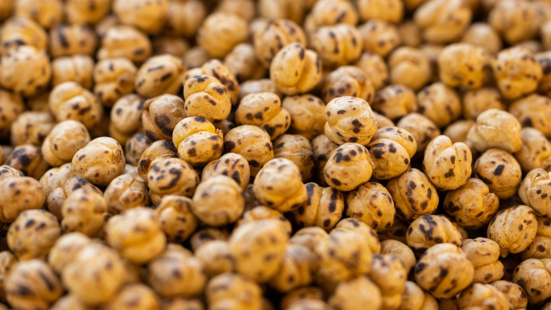 a close up of a bunch of brown and black speckles