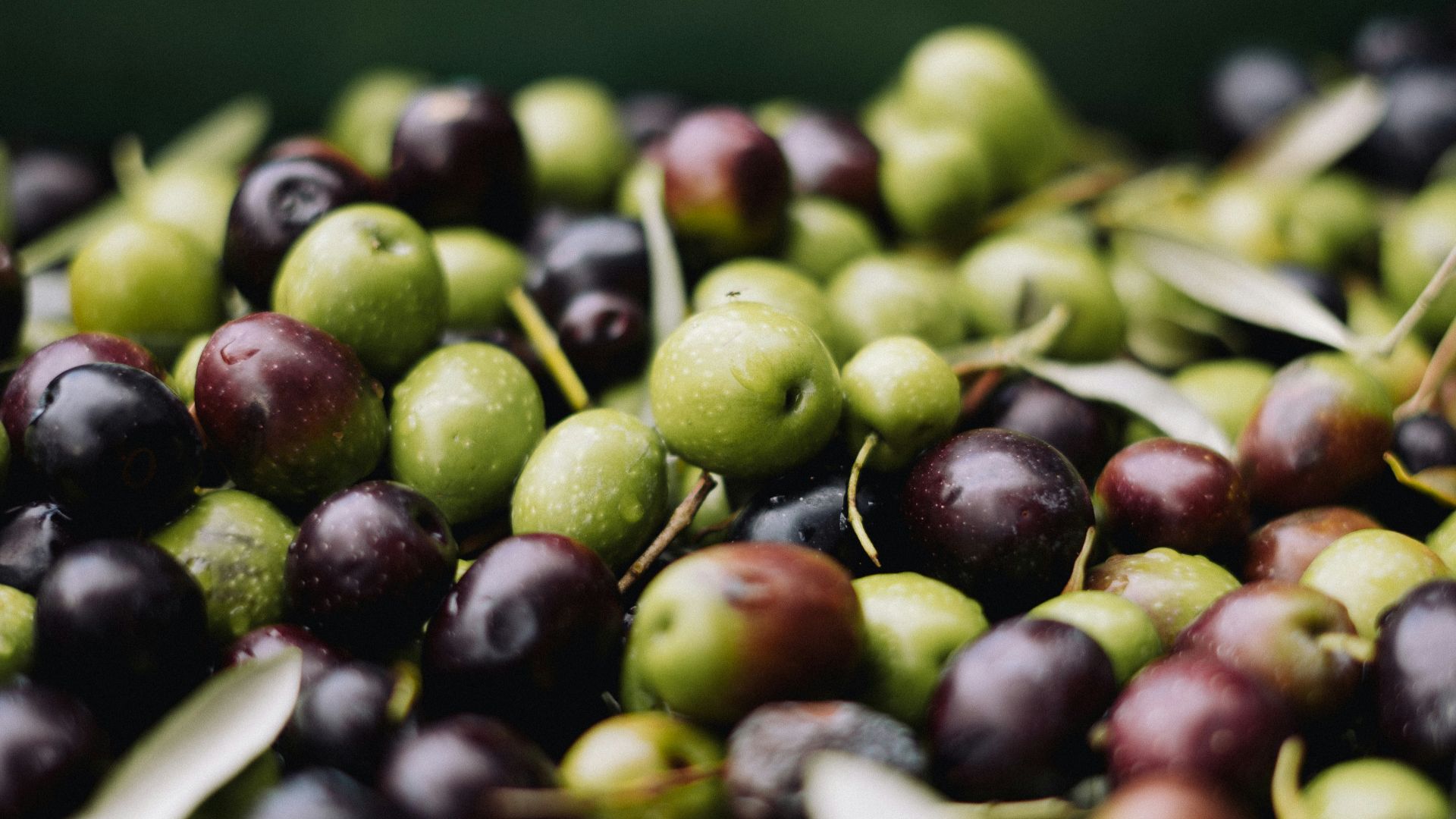 a pile of green and black olives sitting on top of each other