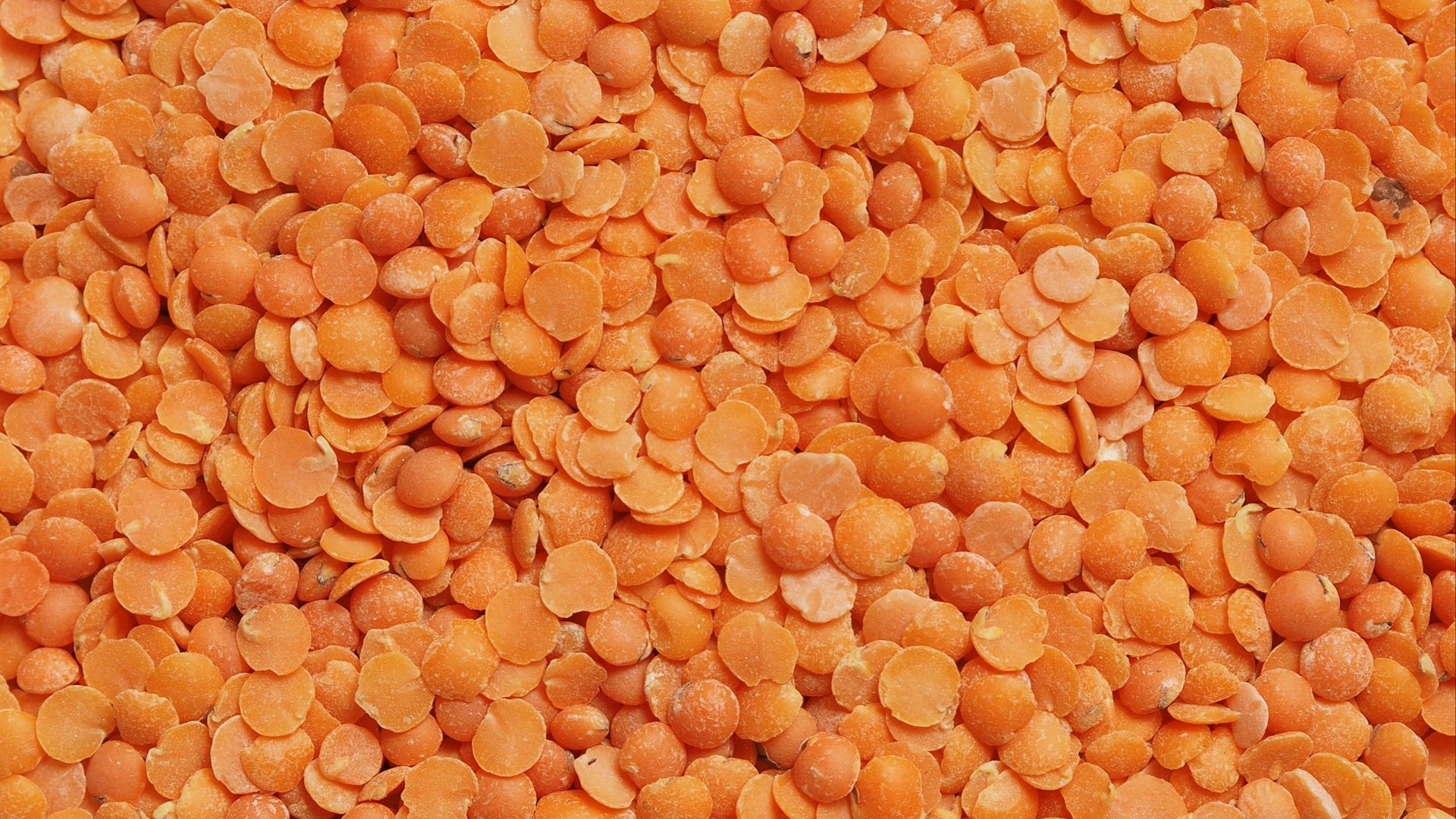 brown and black dried leaves