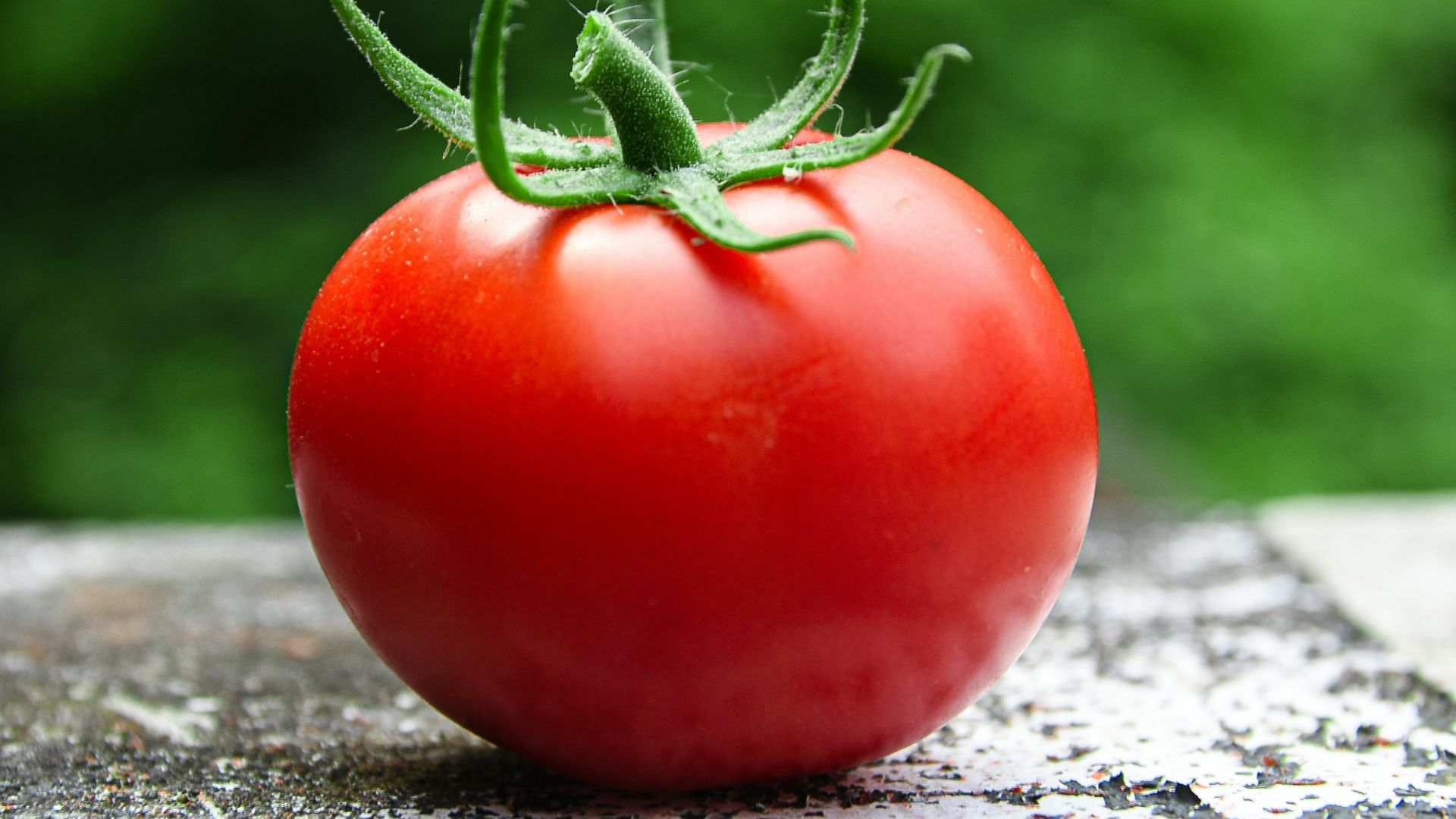 red tomato on gray concrete surface
