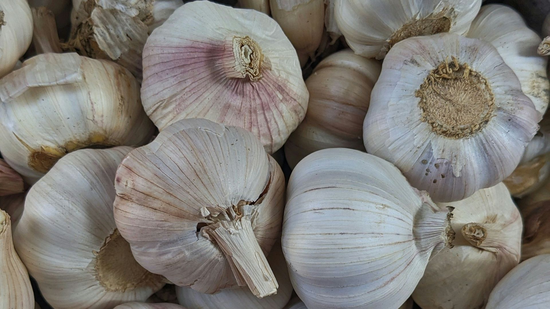 garlic lot on black surface