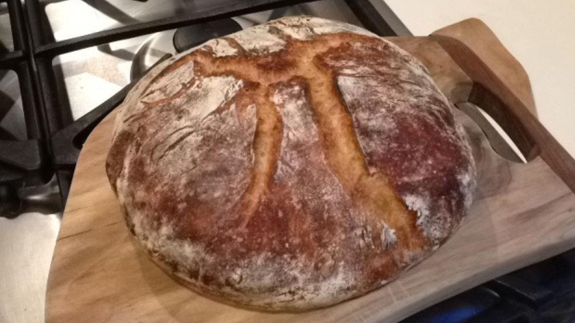 File:Bread baked in my home using the 'no-knead' baking method.jpg