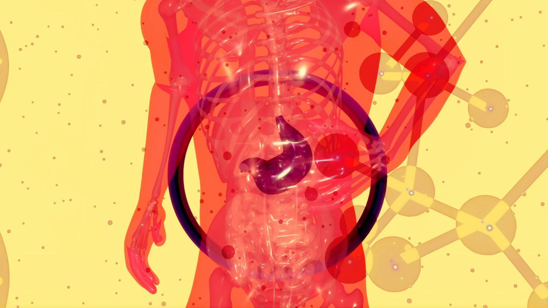 a picture of a human body with a diagram of the human body