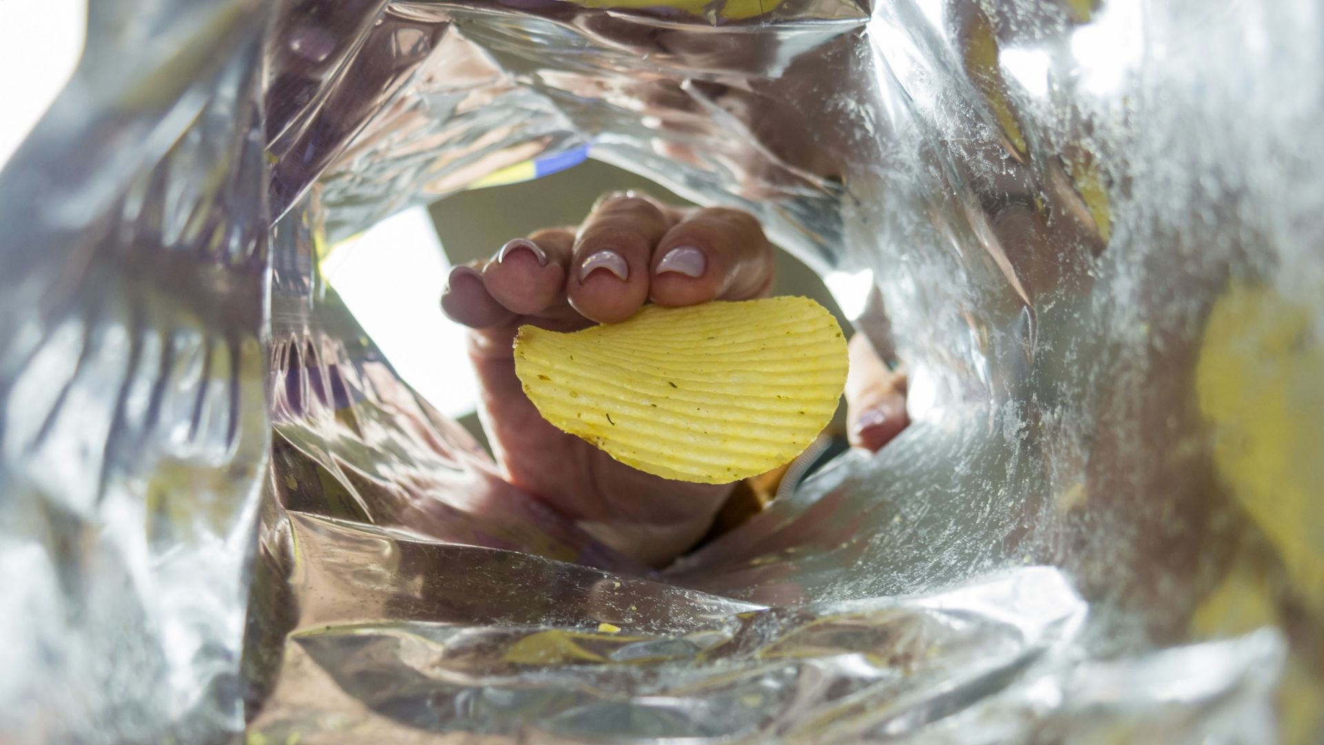 a person holding a piece of food in their hand