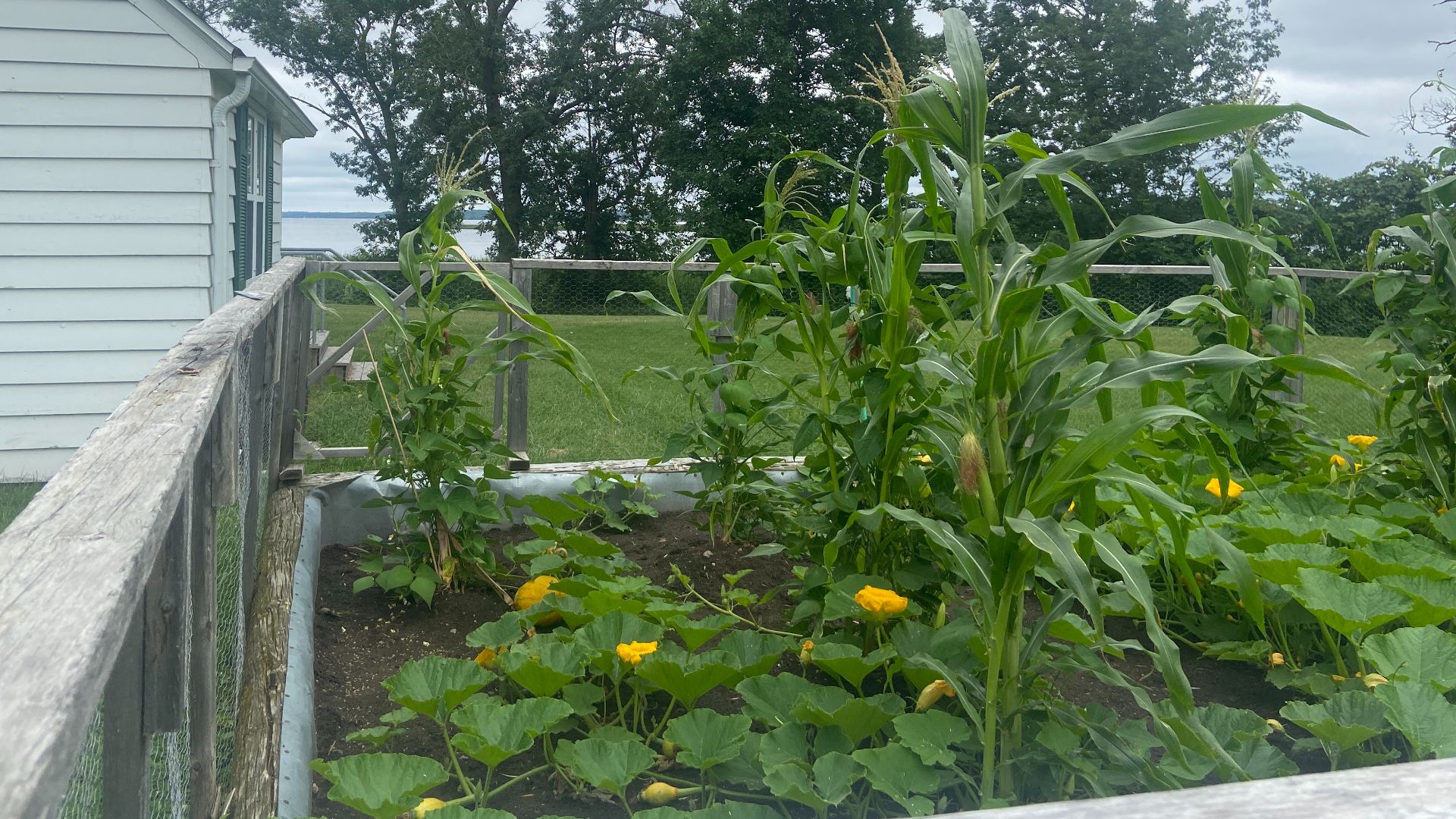 File:Three Sisters Garden-Ayer House.jpg