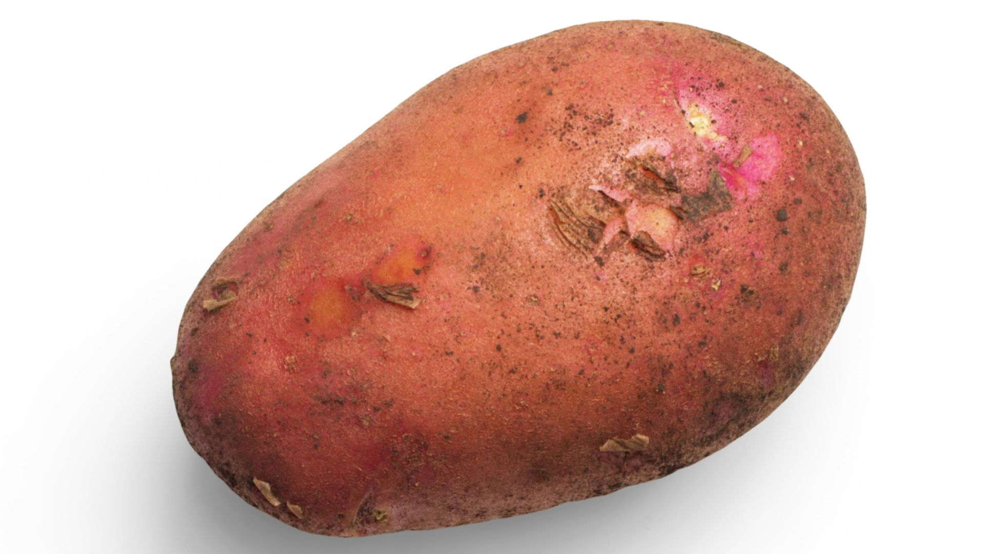 brown and red oval stone