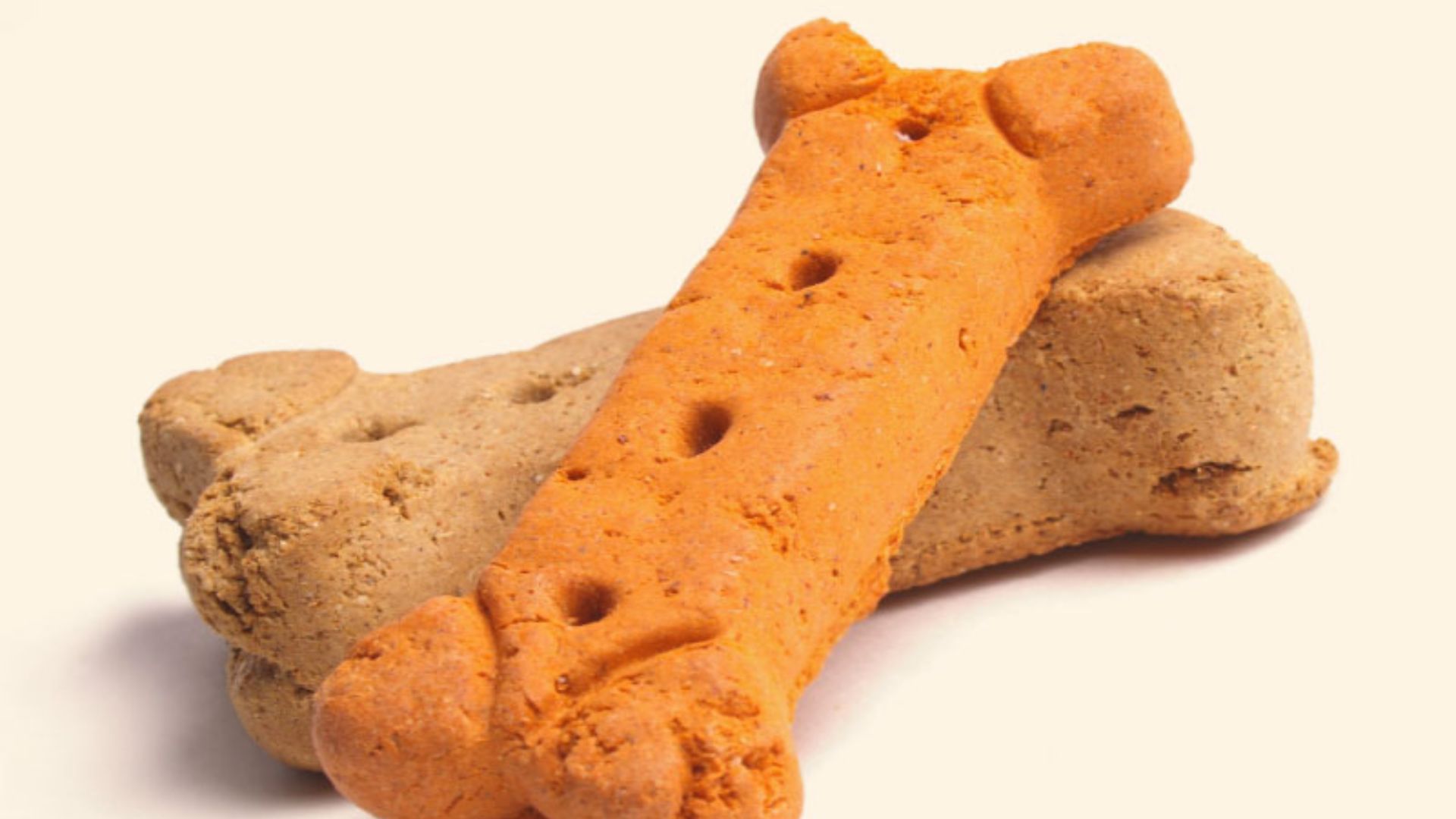 File:A Dog biscuit.jpg