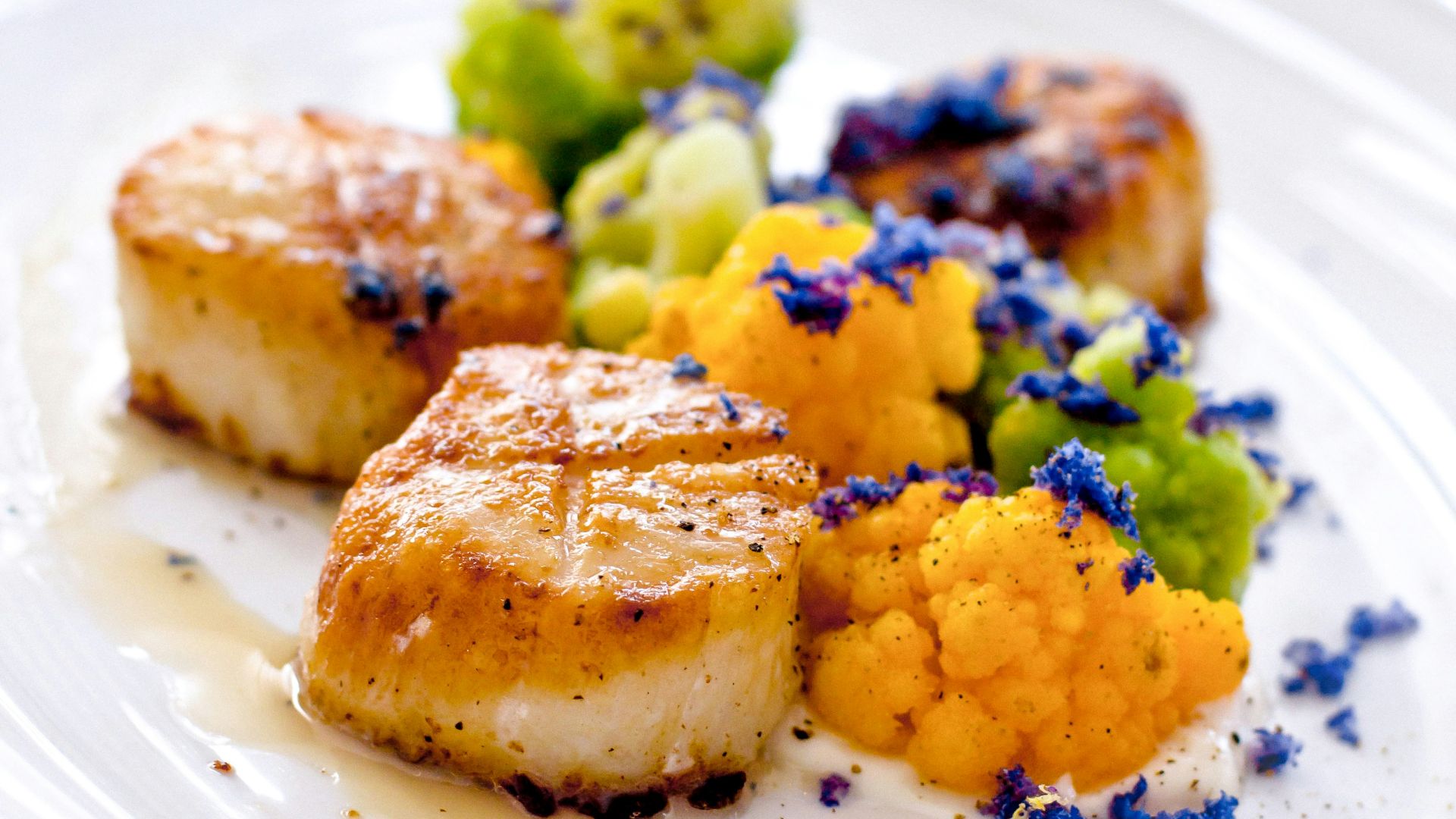 brown bread on white ceramic plate
