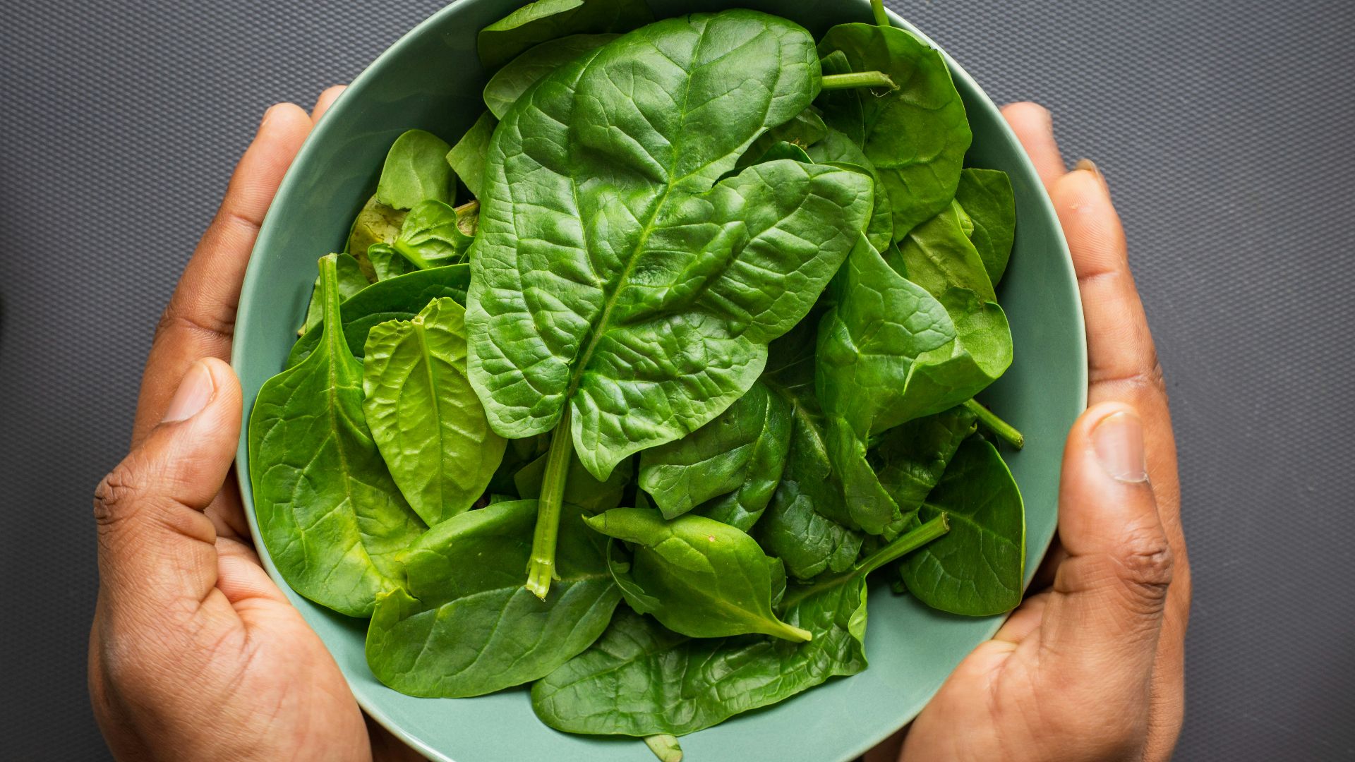green leaves on blue plastic bowl