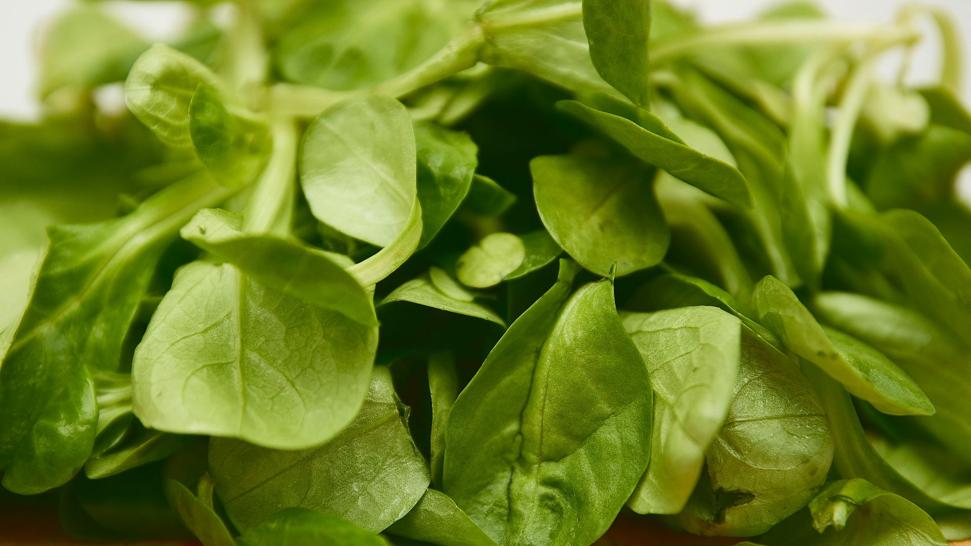 green leaves on brown wooden table