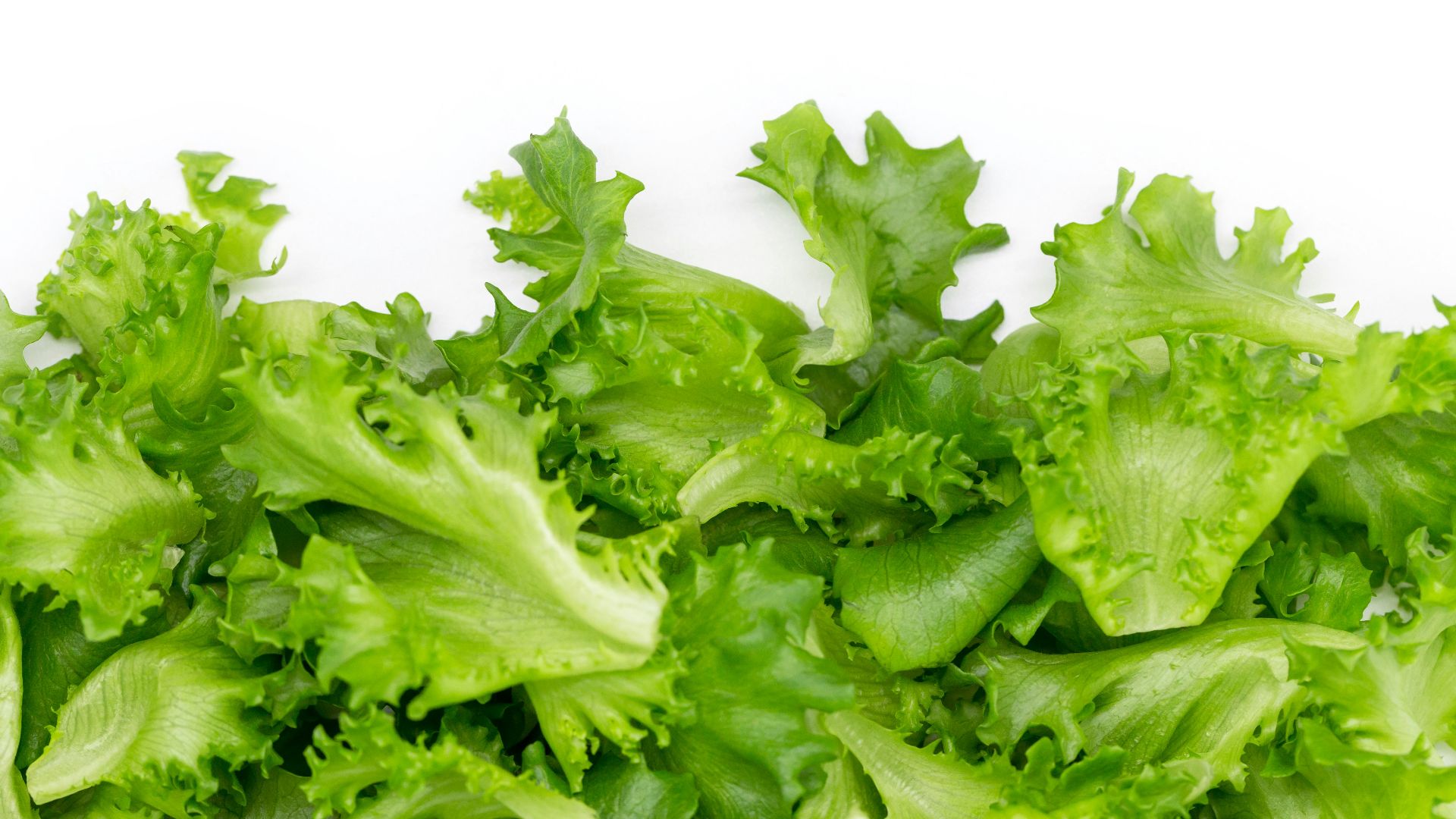 green vegetable on white background