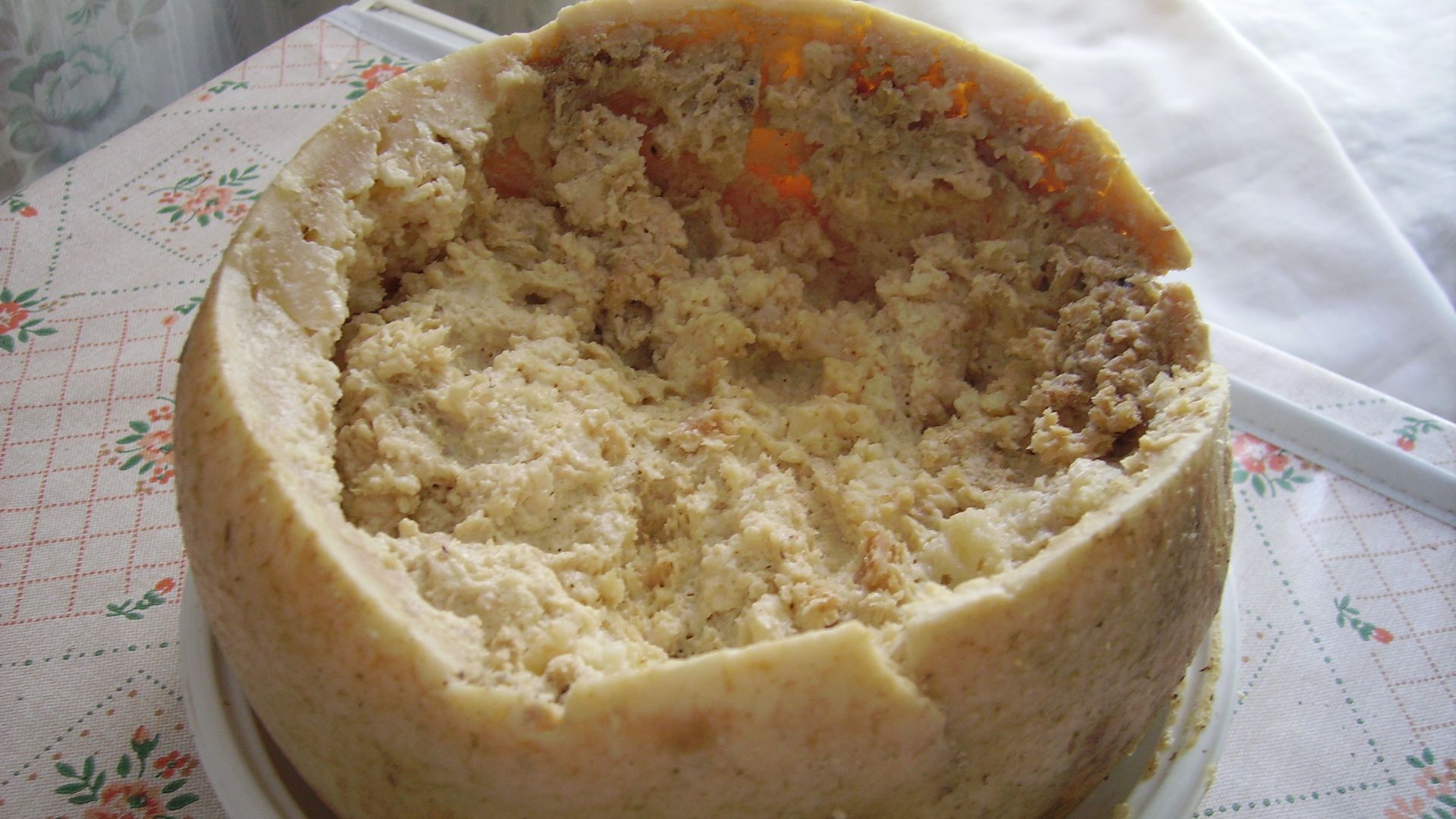 File:Casu Marzu cheese.jpg