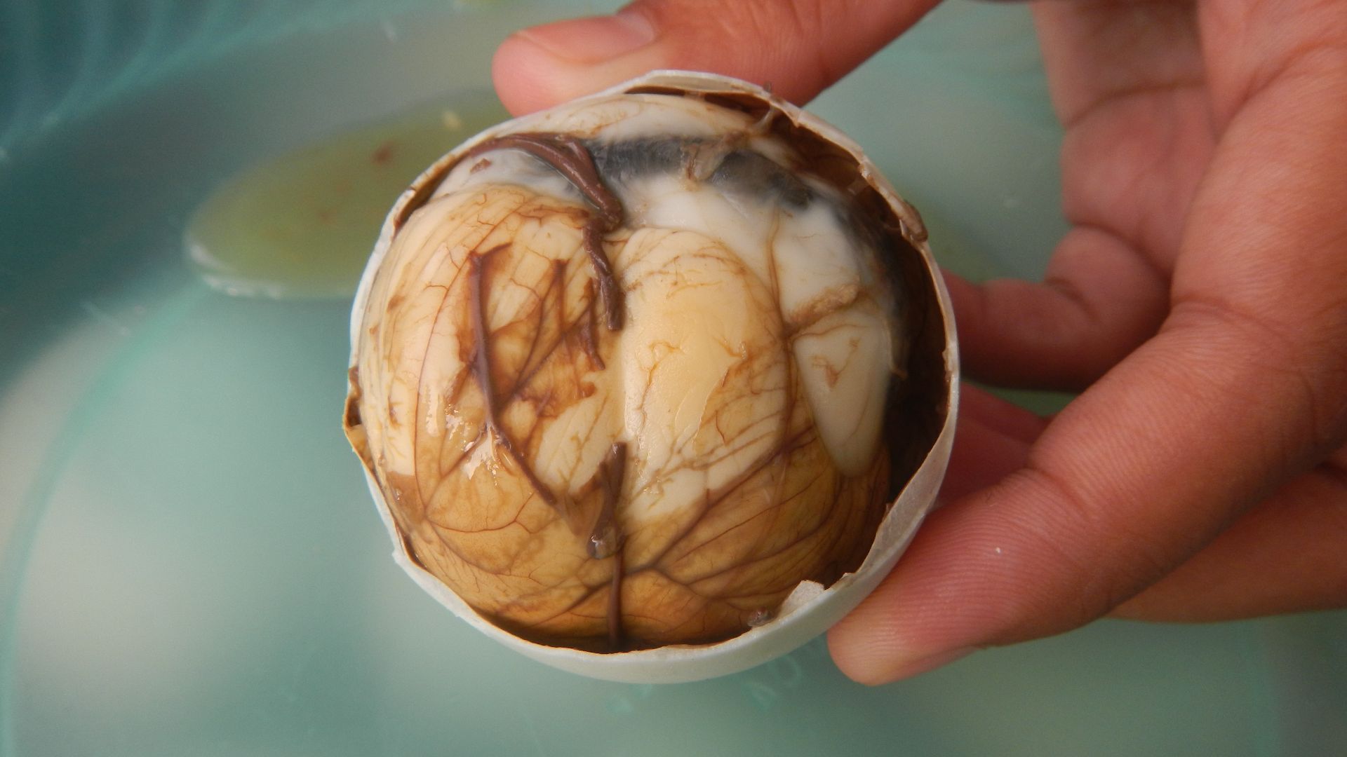 File:06749jfCuisine Foods Takoyaki cooking Balut Penoy Baliuag Bulacanfvf 22.jpg