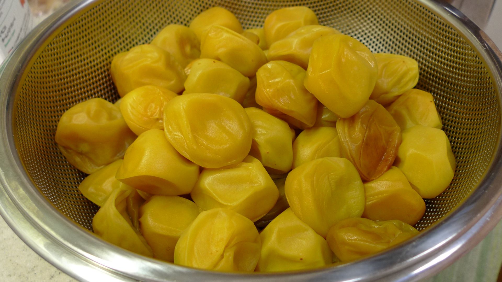 File:Prunus mume 20100807 0607.jpg