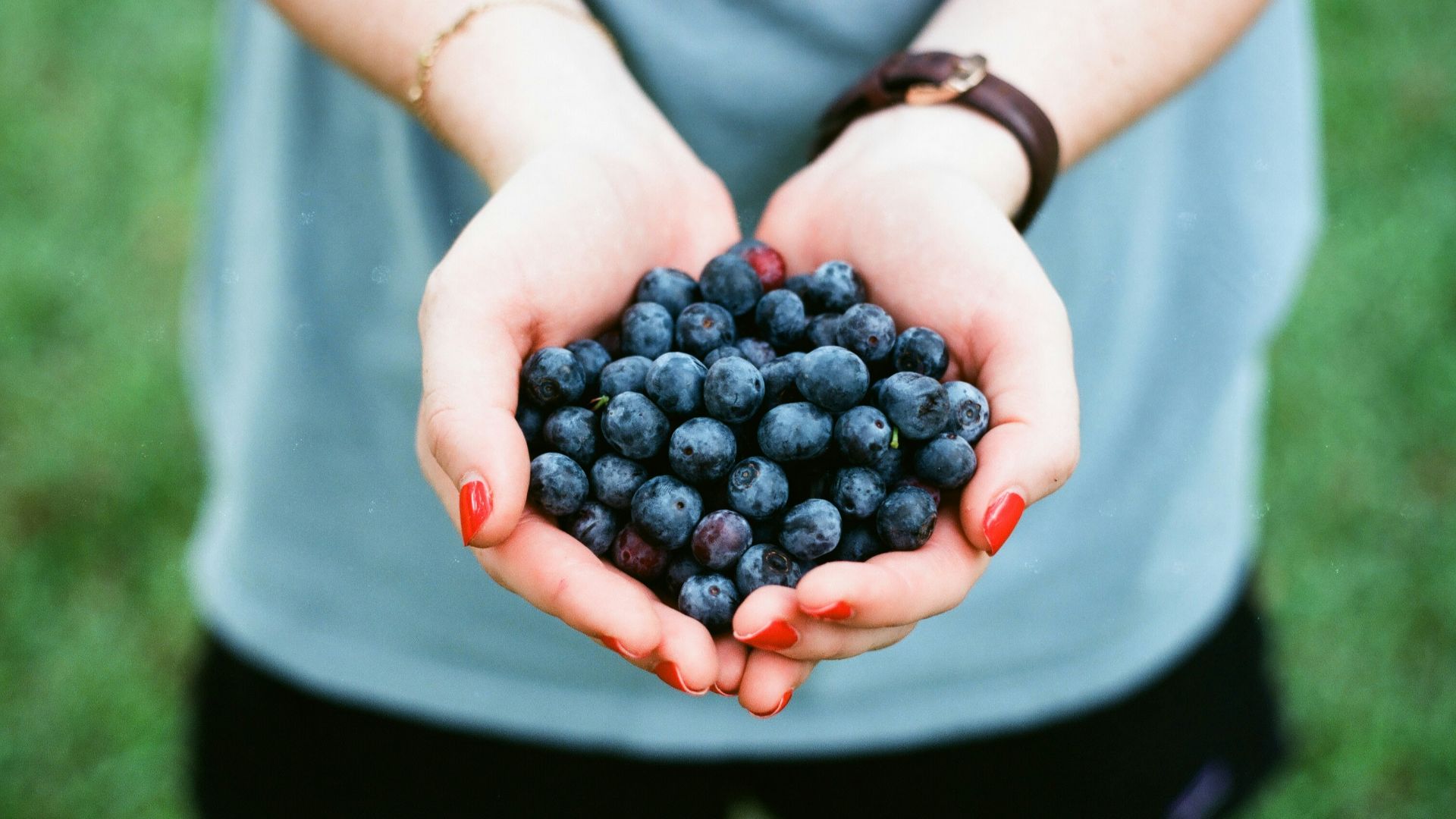 person showing blue berries