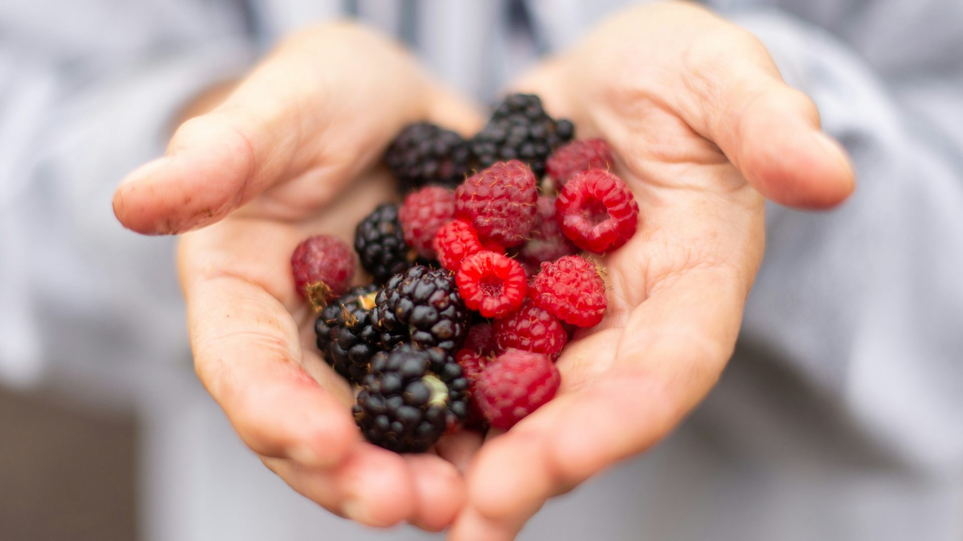 person holding black and red berries