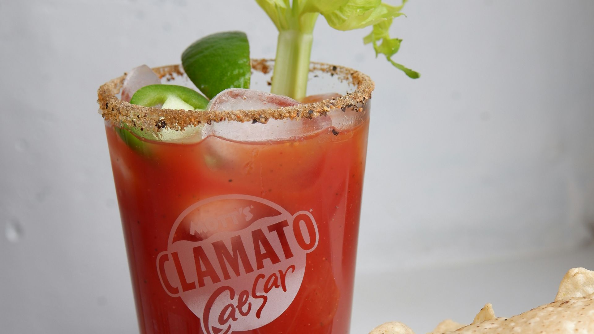 coca cola cup with green plant