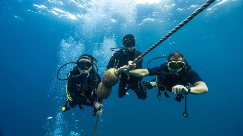 image_1740144031298726285.jpg