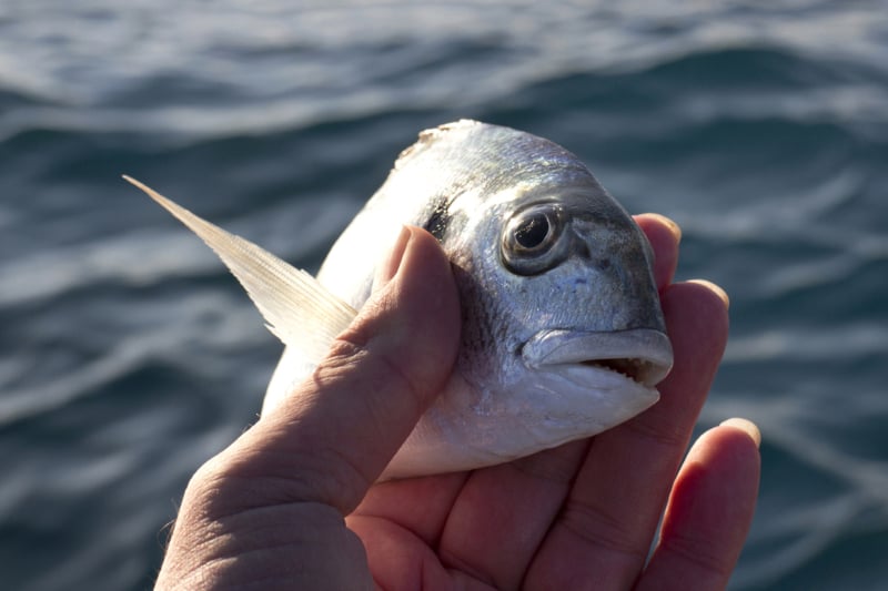 image_17401440371083941050.jpg