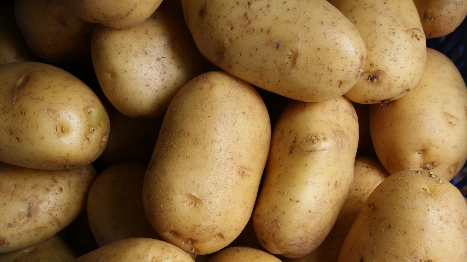 brown potato lot