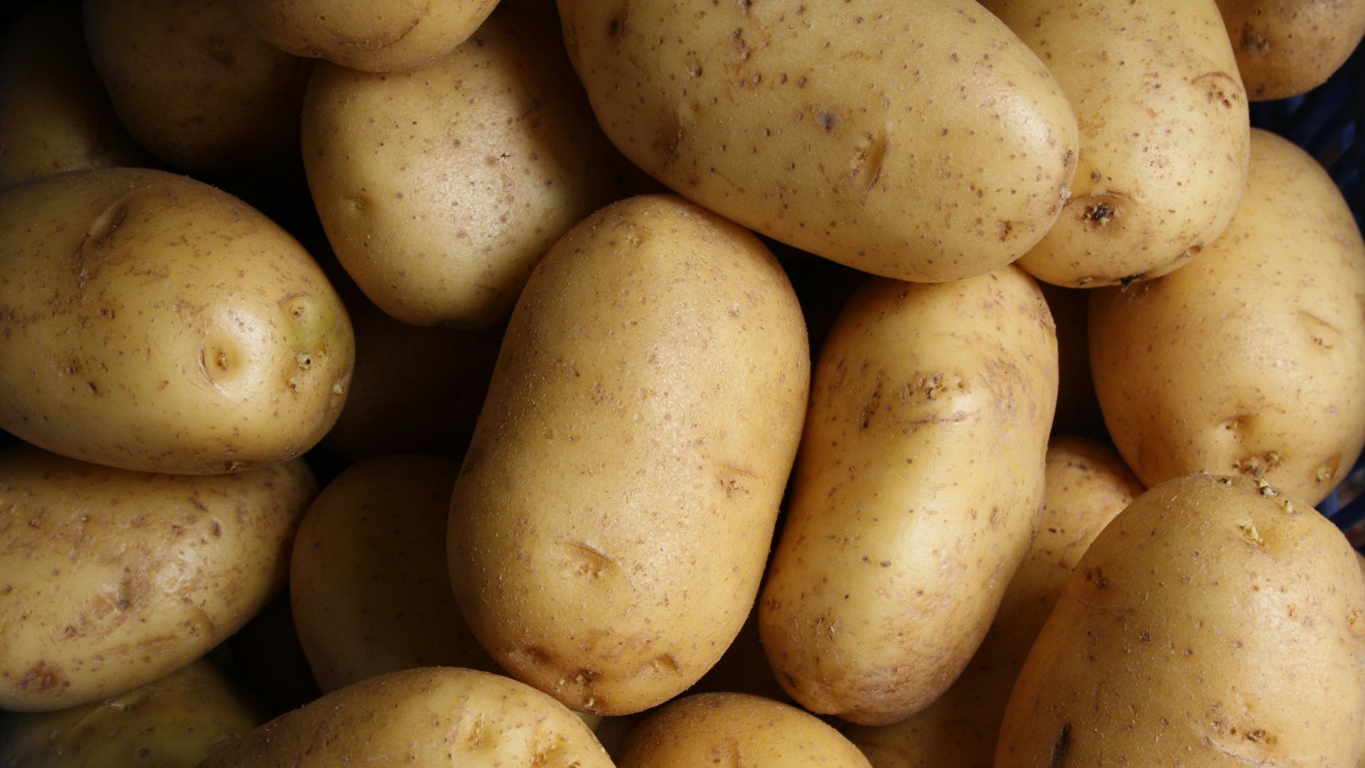 brown potato lot