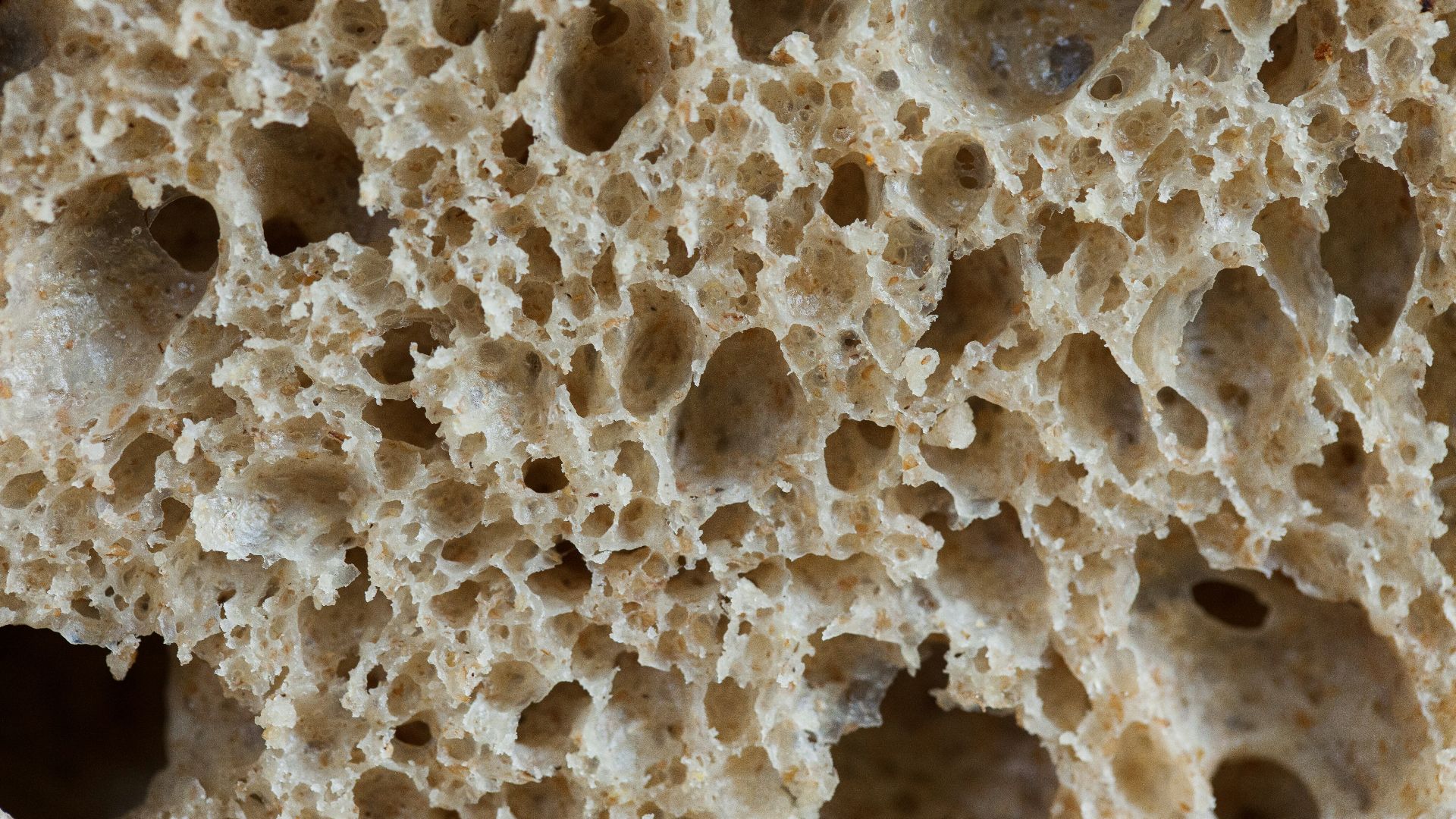 white and gray stone fragments