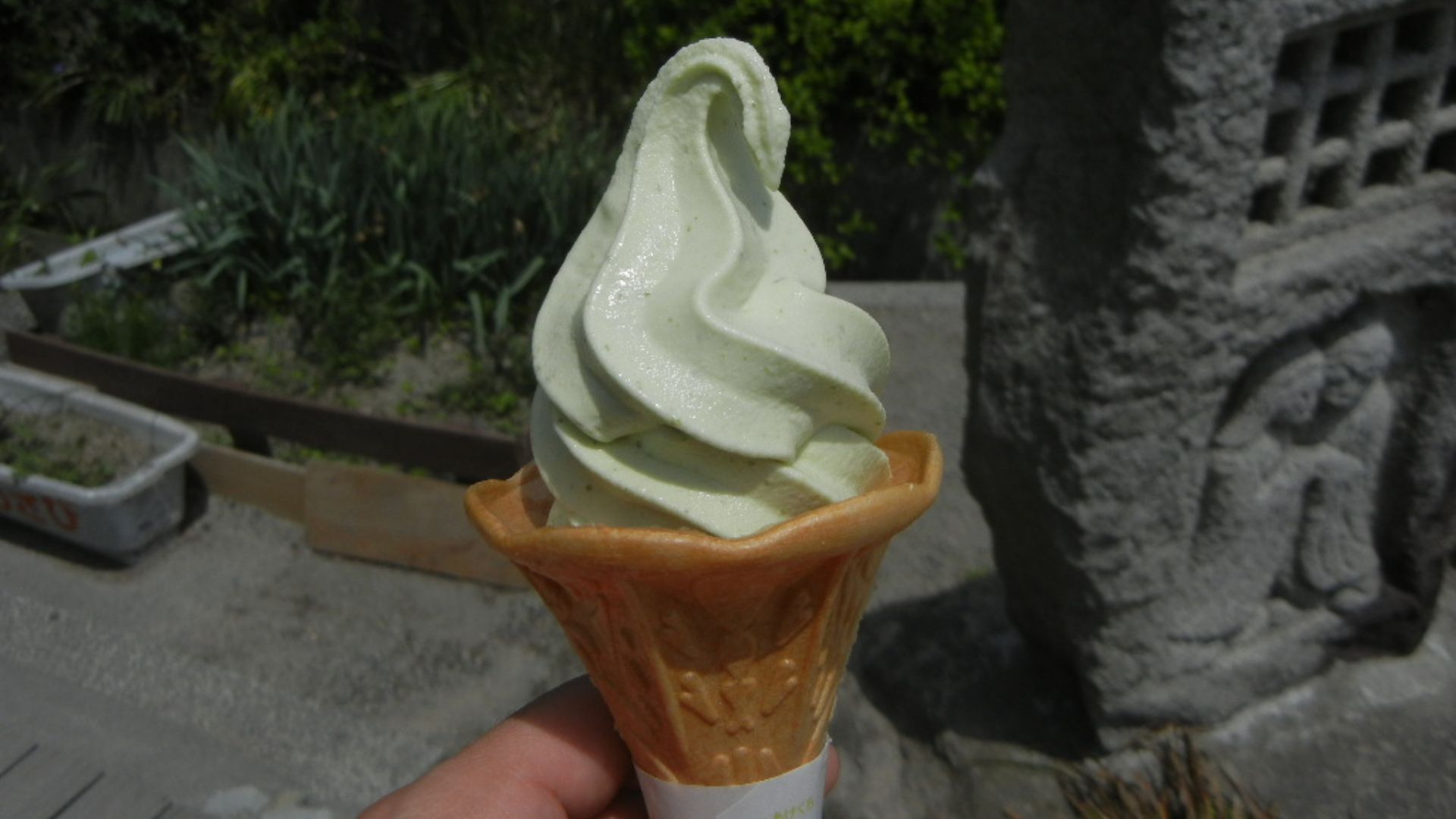 File:Wasabi soft serve ice cream.JPG