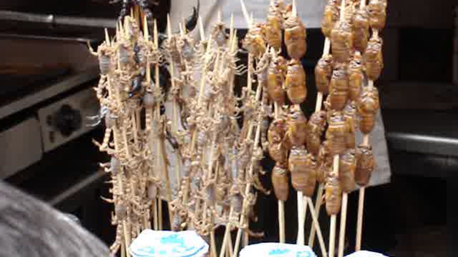 File:Lascar VIDEO - Live scorpion skewers and other unusual Chinese delicatessens (4475535317).jpg