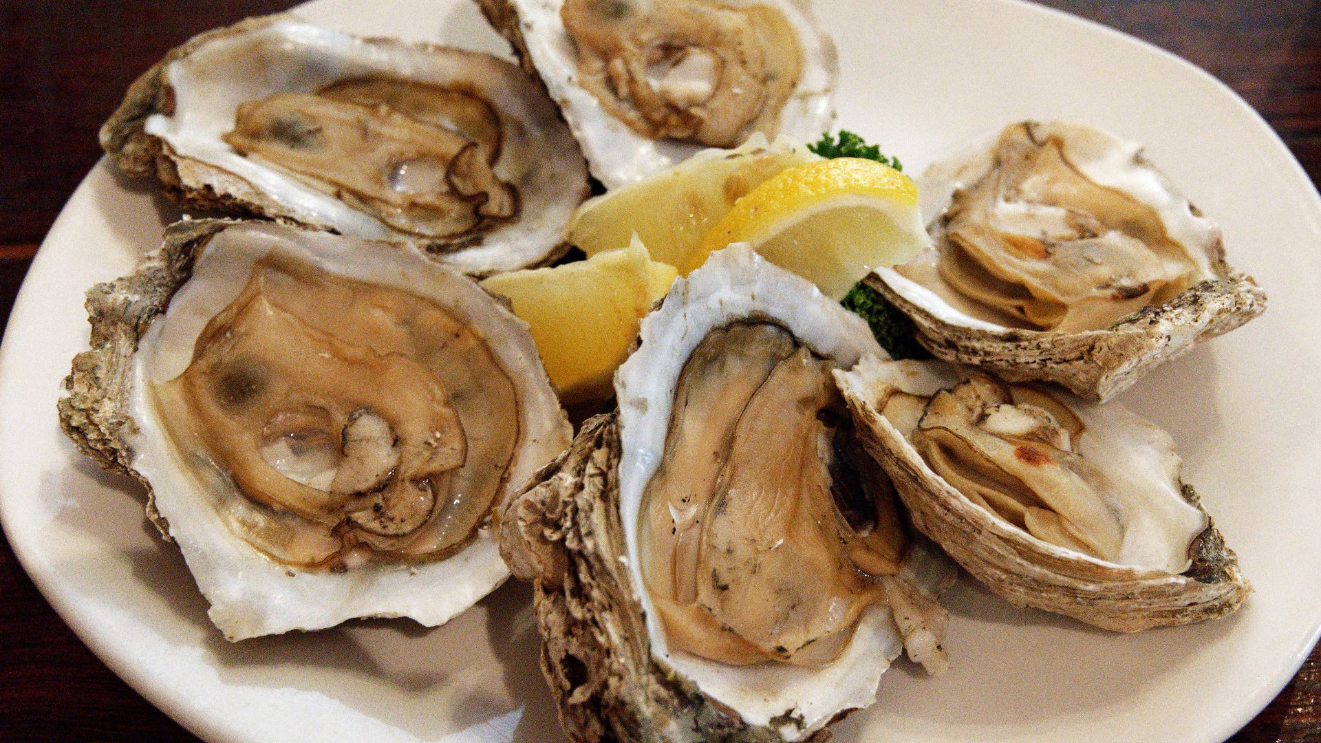 File:Six steamed oysters on the half shell.jpg