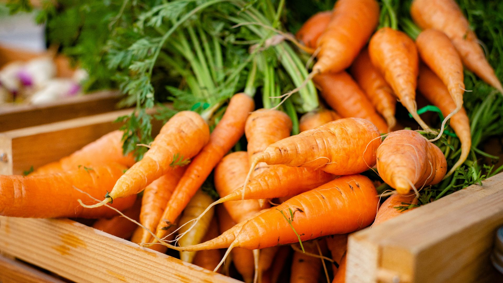orange carrots on brown wooden crate